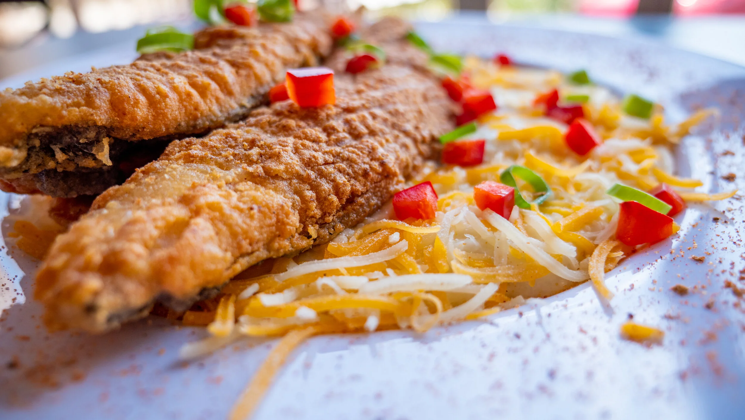 Food Photography