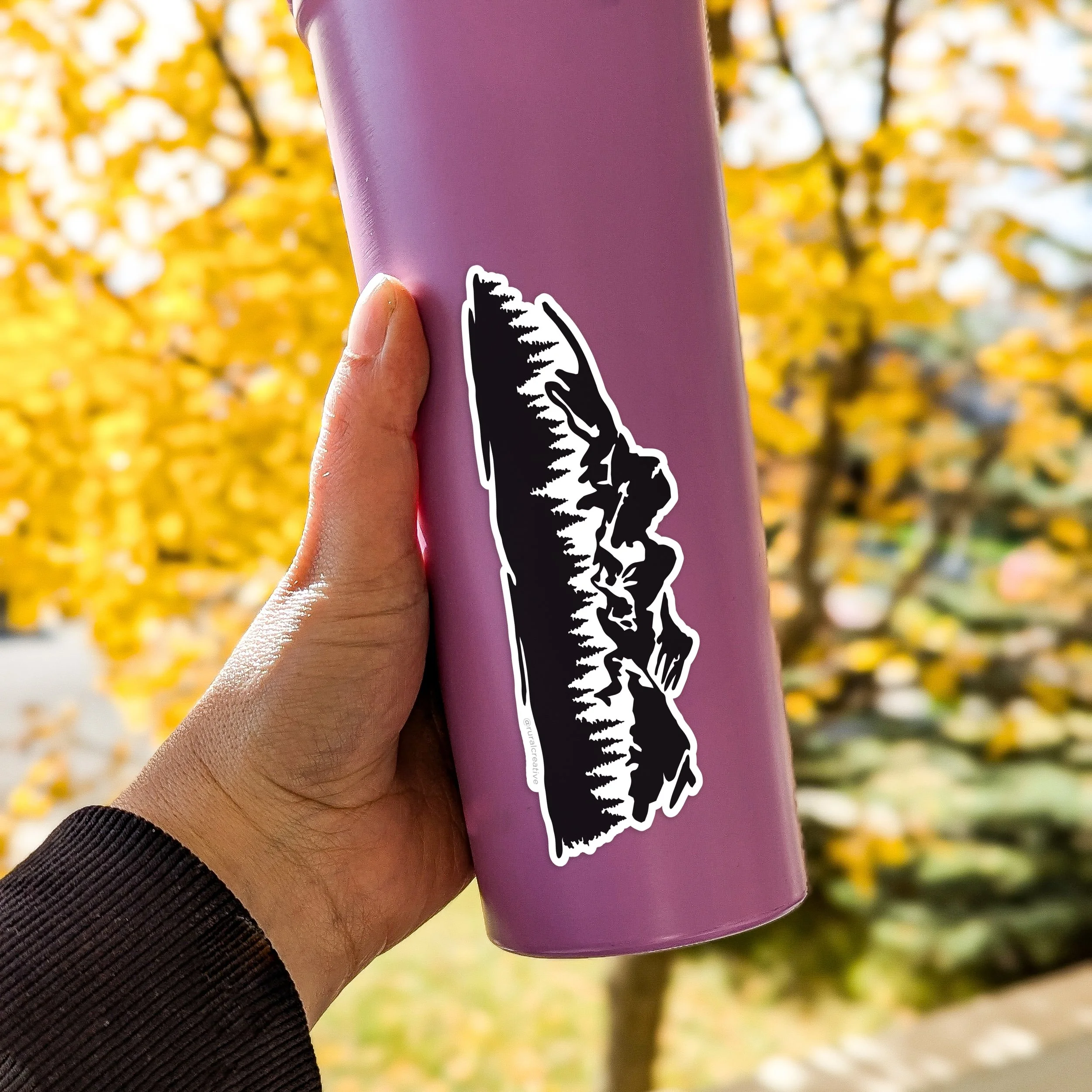 RC_Waterbottle_purple_threesisters.jpg