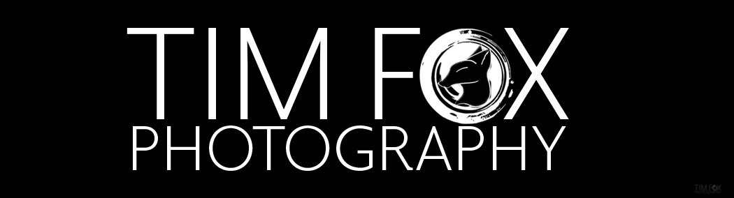 Tim Fox Photography