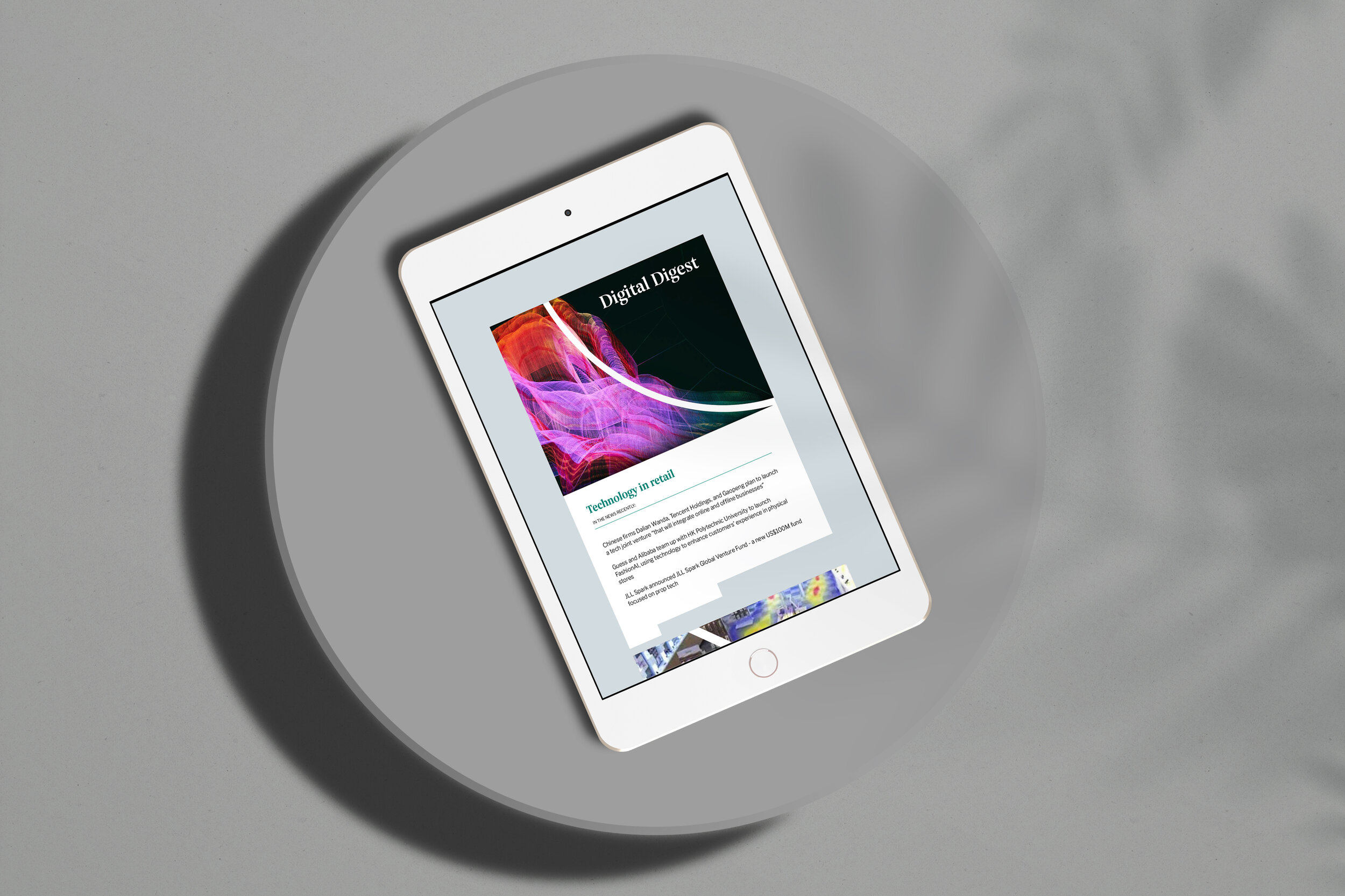 Newsletter_Design_template_mockup_tabletdesign_styling(2).jpg