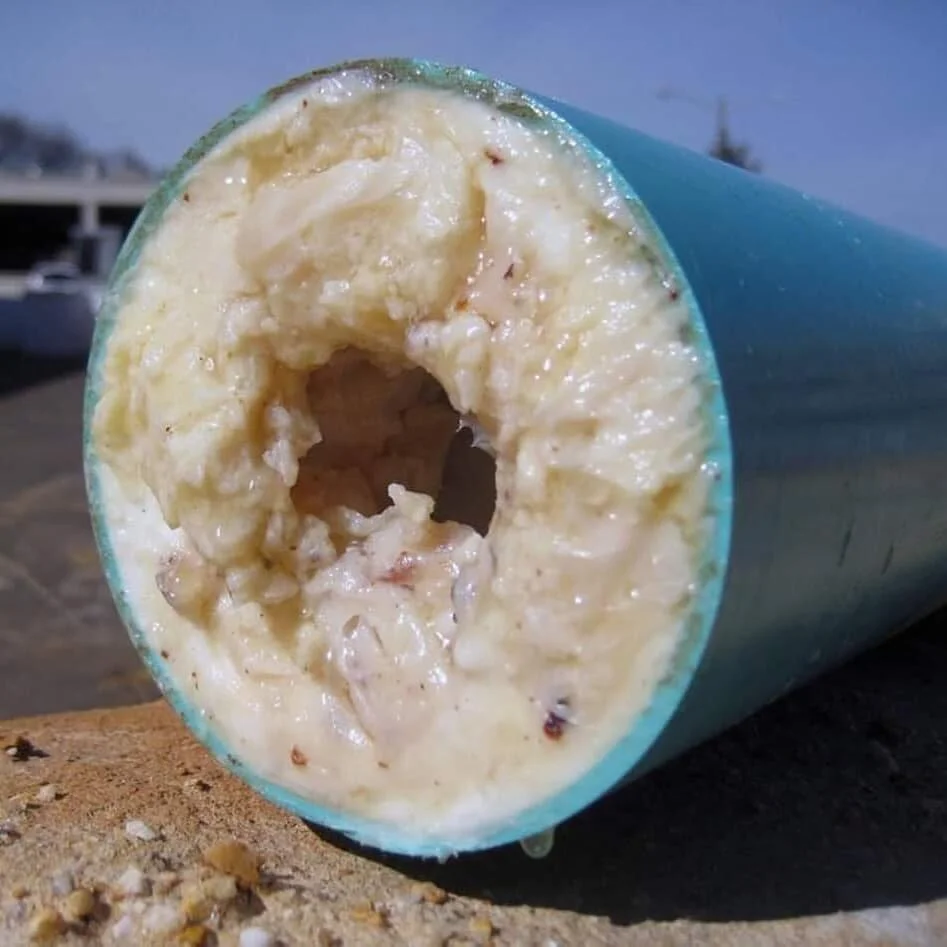 Esto es lo que pasa cuando alguien vierte aceites y grasas por el desag&uuml;e.

📷: Los &Aacute;ngeles Sanitation &amp; Environment (p&aacute;gina oficial verificada)