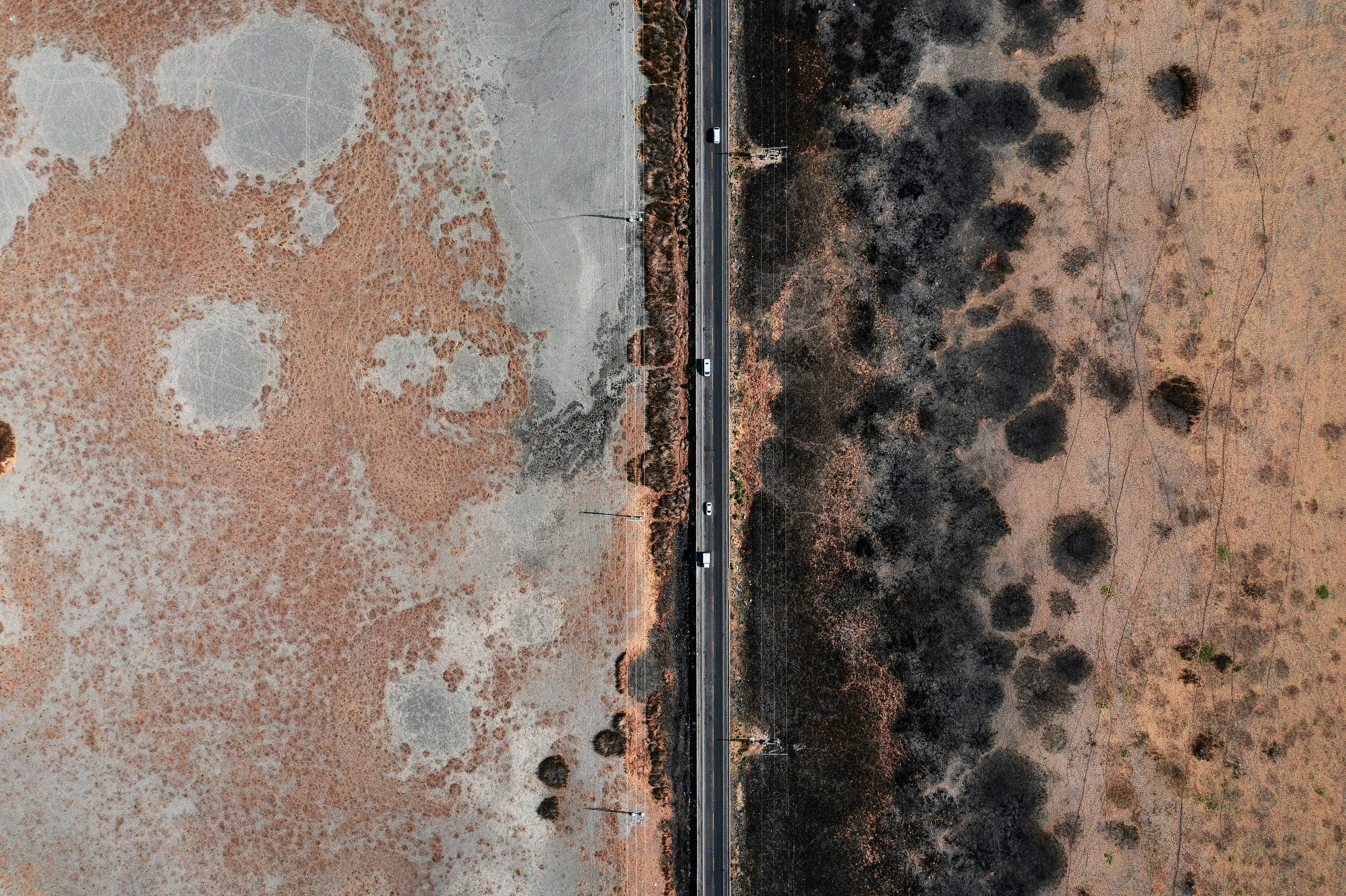 Mold 101: What Causes It, How to Spot It, and What to Do About It