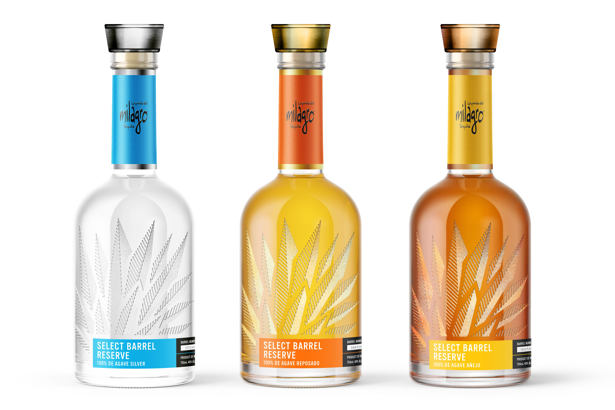 MILAGRO LINEUP.jpg