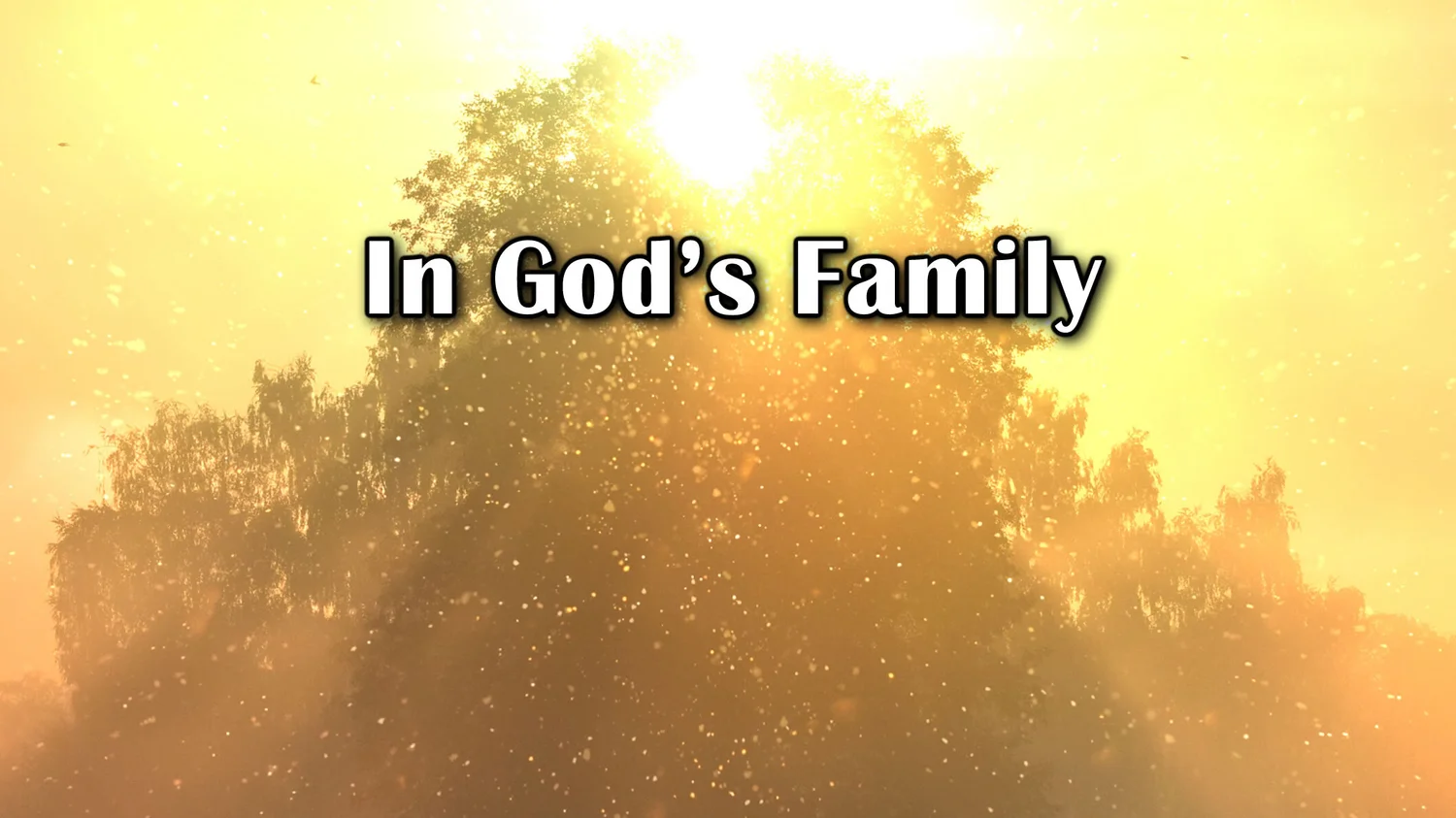 Adoption: Welcome to Your New Family - Romans 8:12-17.  August 2, 2020 episode artwork