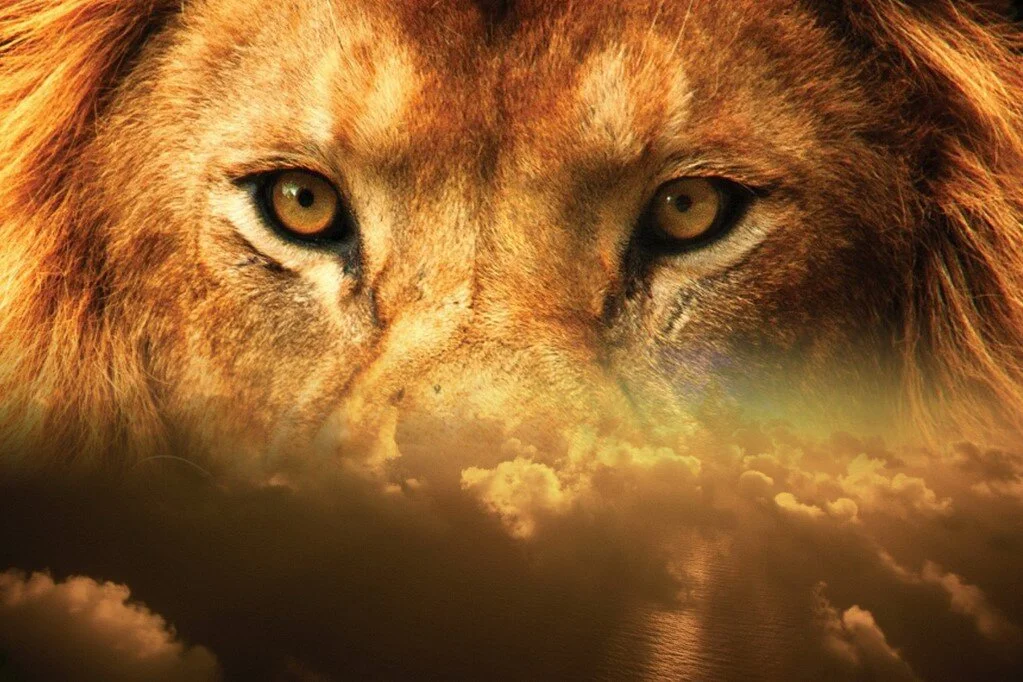 Taking the Creation Back - Colossians 1:15-23.  May 2, 2021 episode artwork