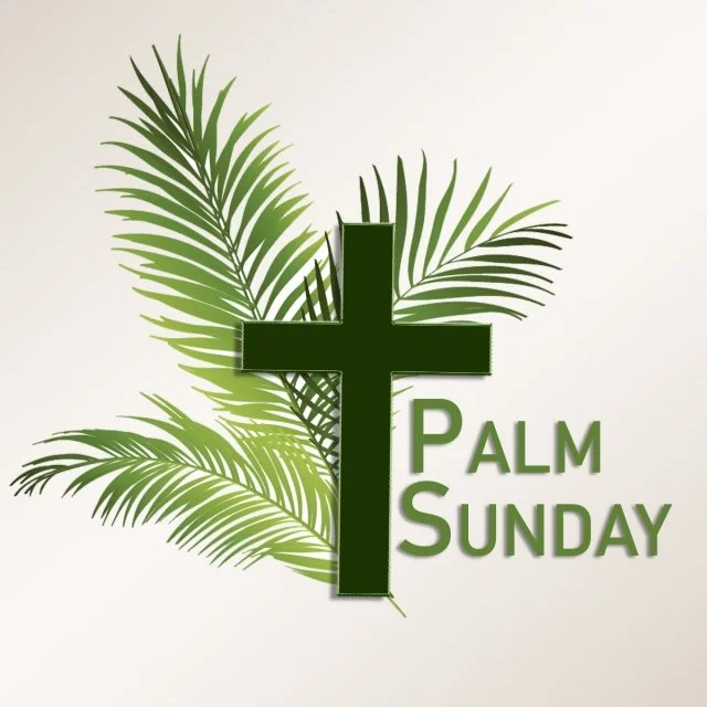 Jesus’ Response to Wrongdoing - Luke 19:41-44. April 10, 2022 - Palm Sunday episode artwork