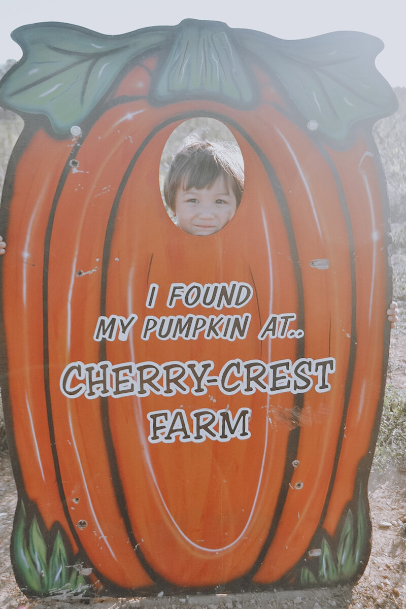 cherry crest adventure farm pennsylvania family favorite places places apg maryland dots and dust 2020-09.jpg