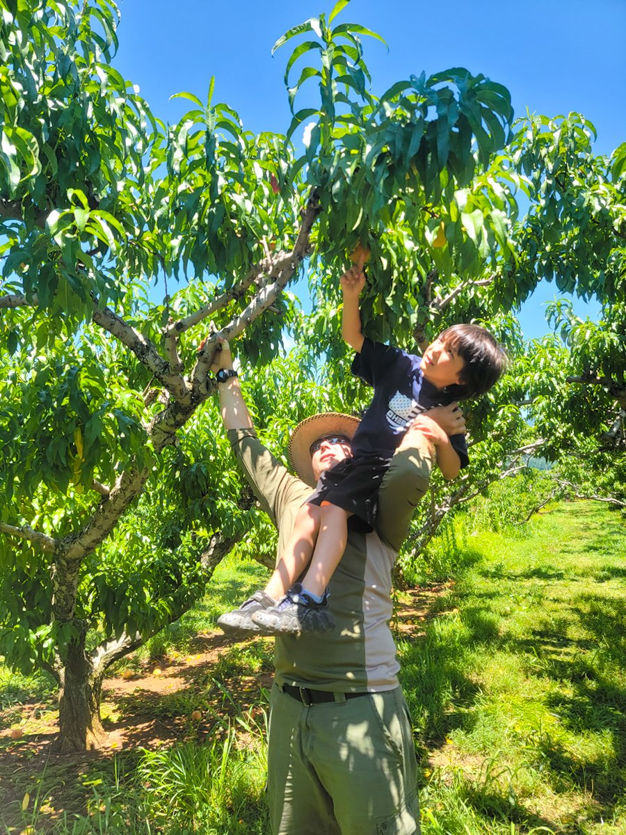family summer chiles peach orchard crozet virginia July 2022-51.jpg
