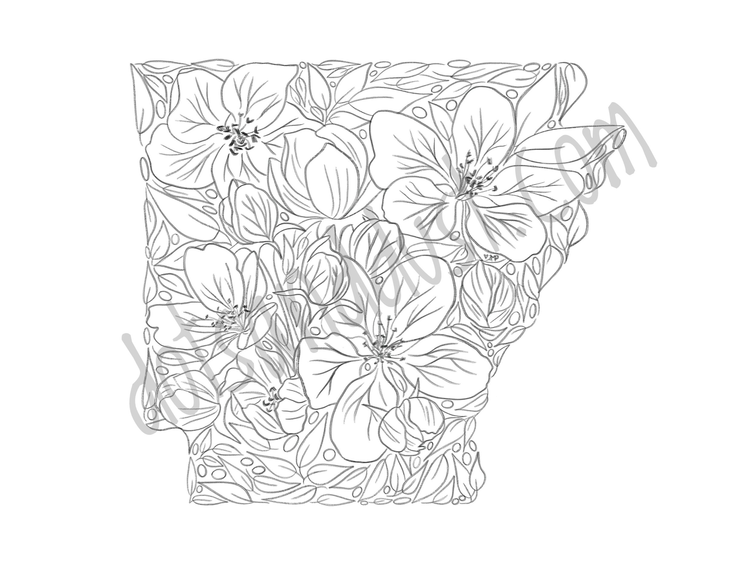 Arkansas_Floral-02.jpeg