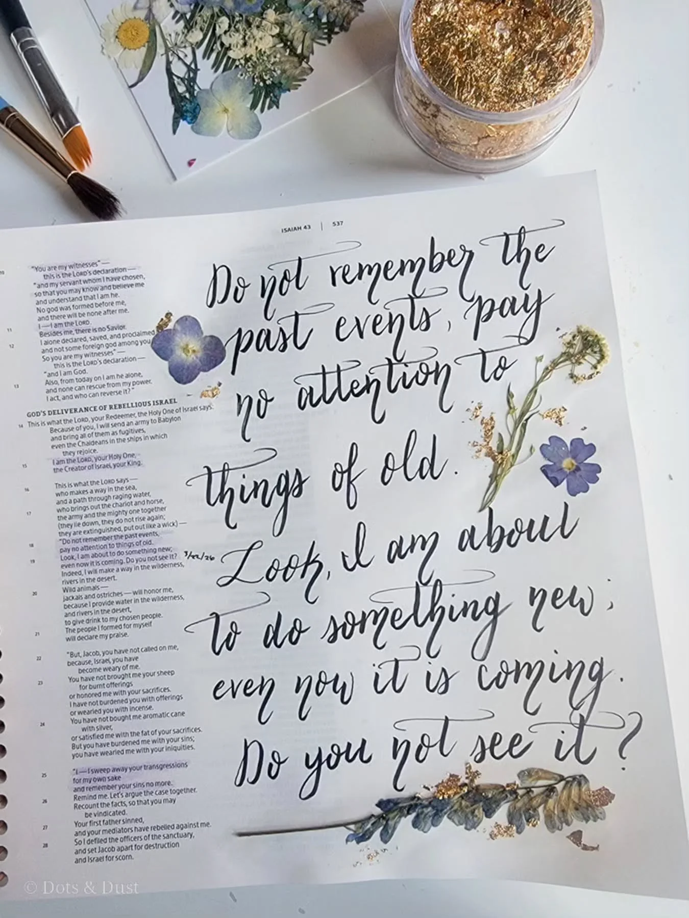 "Do not remember the past events; pay no attention to things of old. Look, I am about to do something new; even now it is coming. Do you not see it?" -Isaiah 43:18-19a CSB

It can be difficult to remember that God's mercies are new every da