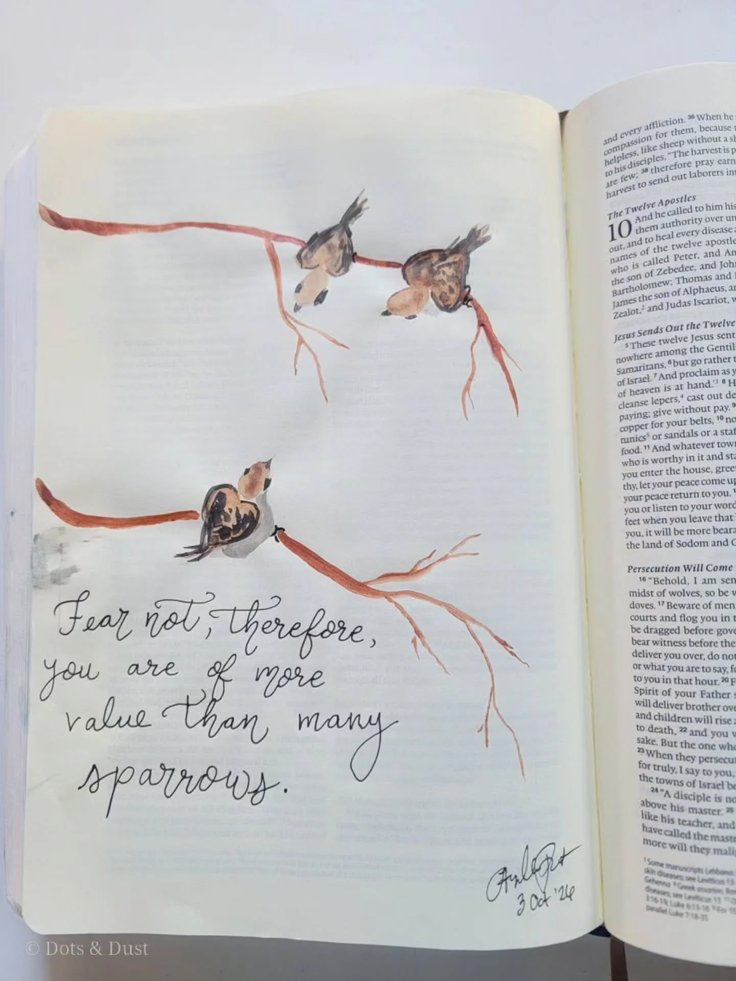 "Are not two sparrows sold for a penny? And not one of them will fall to the ground apart from your Father. But even the hairs of your head are all numbered. Fear not, therefore; you are of more value than many sparrows." -Matthew 10:29-31 