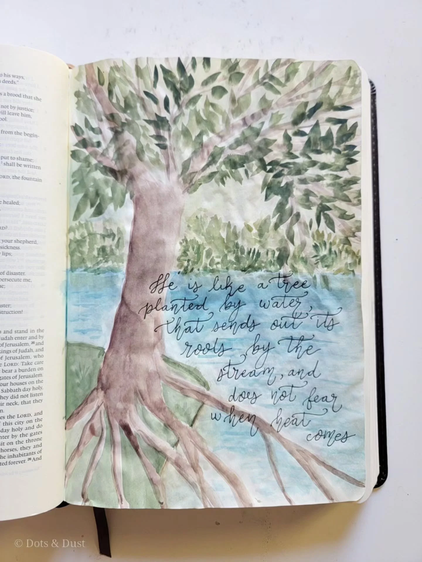 &ldquo;Blessed is the man who trusts in the Lord, whose trust is the Lord.  He is like a tree planted by water, that sends out its roots by the stream, and does not fear when heat comes, for its leaves remain green, and is not anxious in the year of 