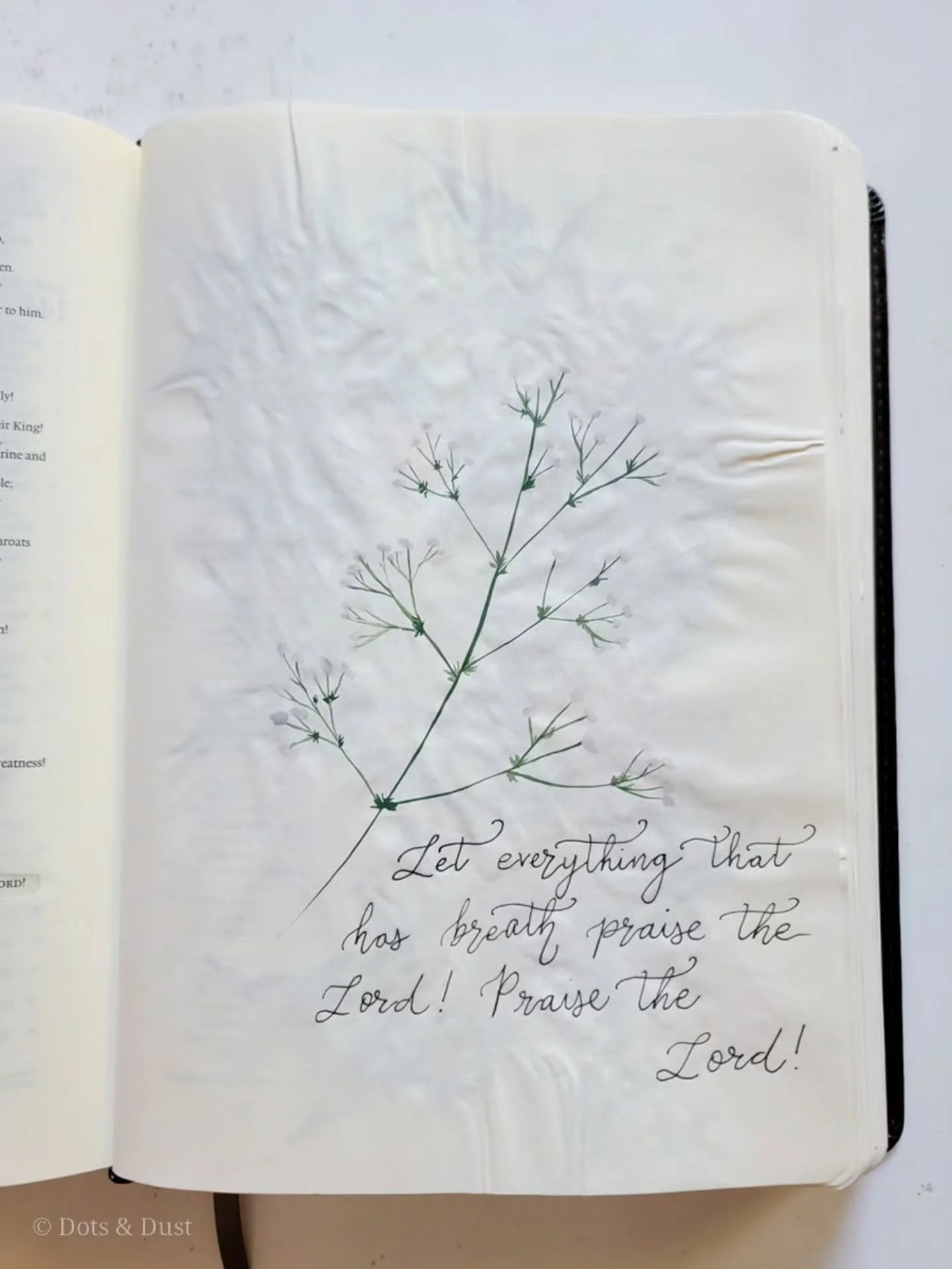 &ldquo;Let everything that has breath praise the Lord! Praise the Lord!&rdquo;

-Psalm 150:6 ESV

Day 15 of #inkspiredinktober (prompt: breath)