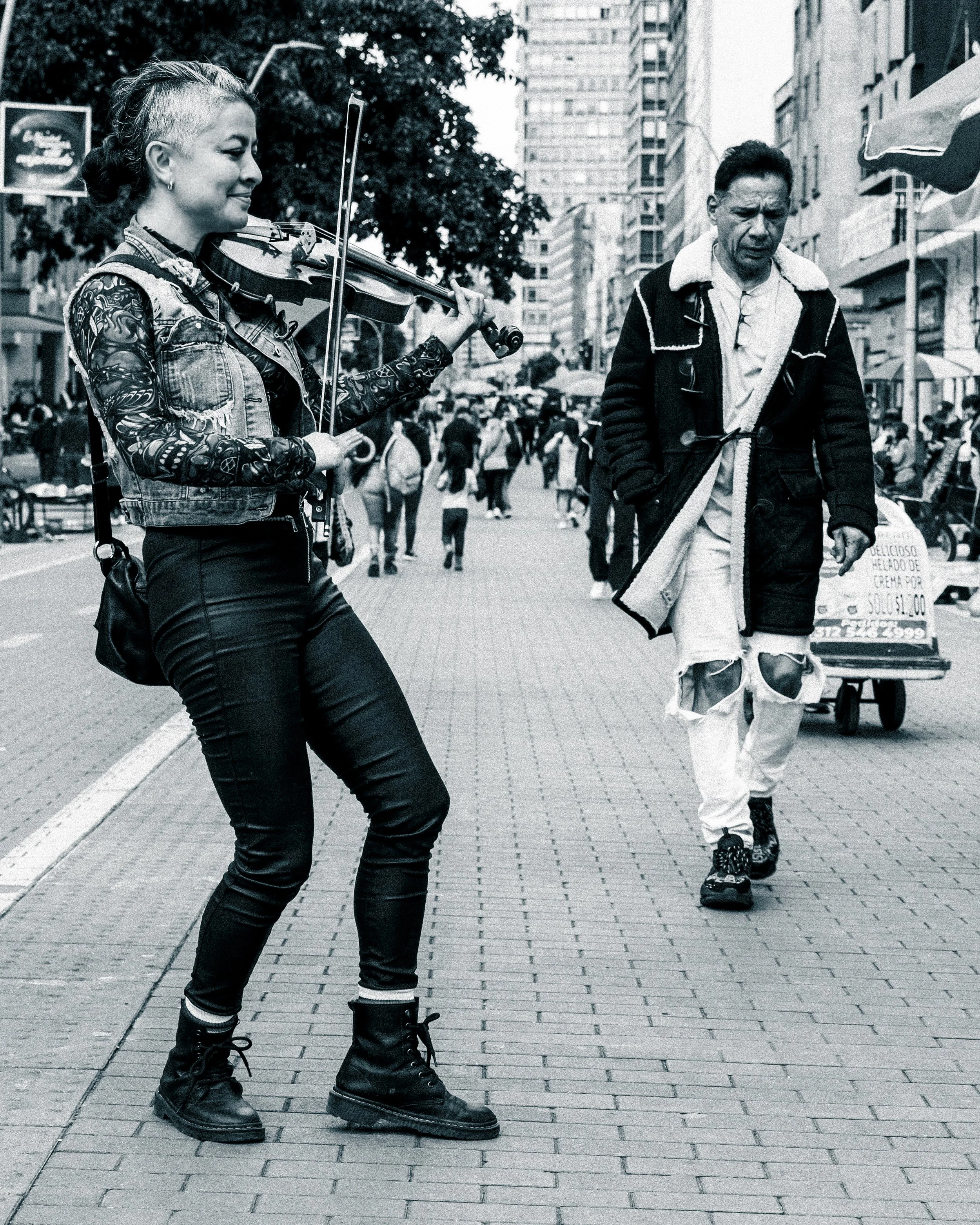 Violin and walker 30cm.jpg