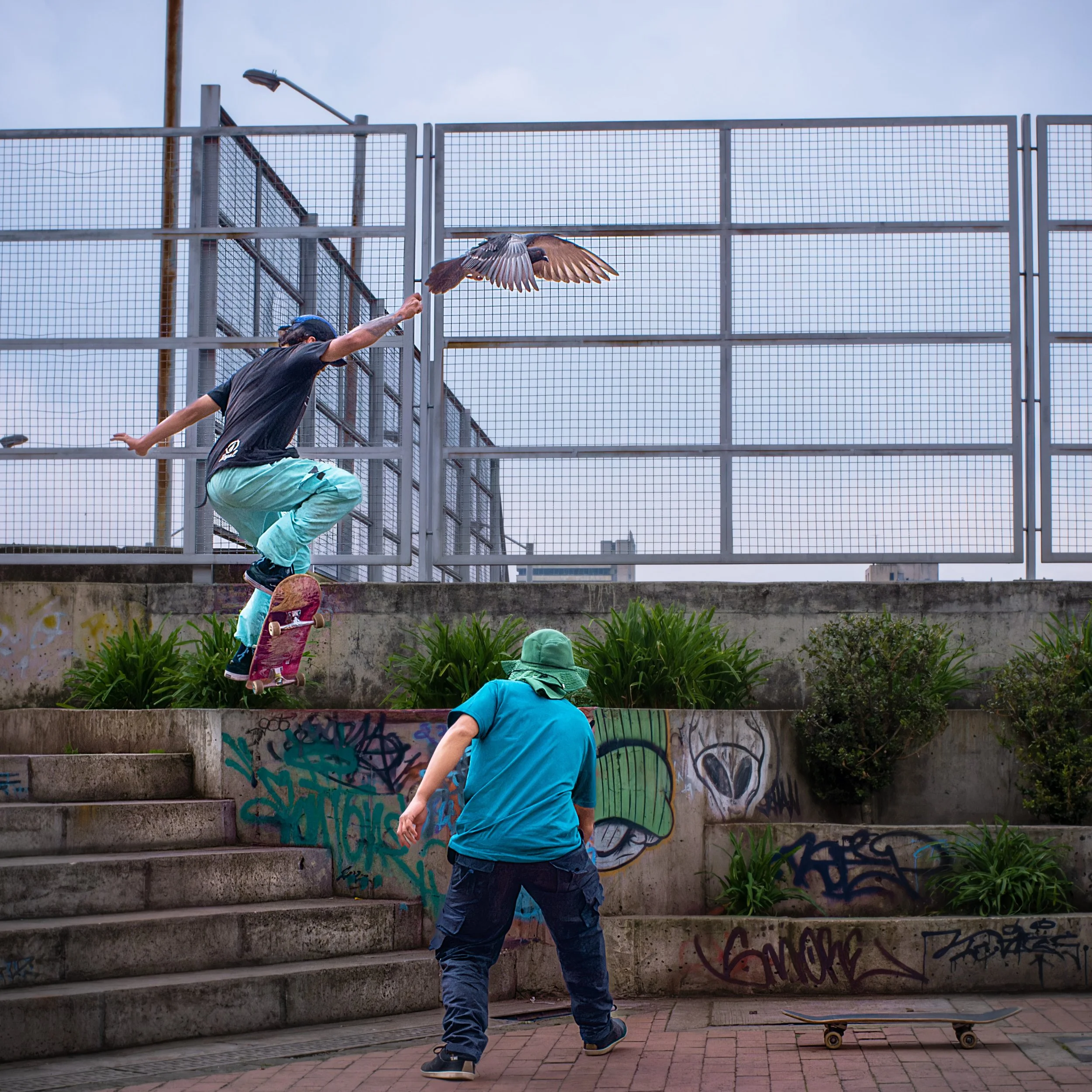 Tatan makes a jump and @TigreFilmaker catches the action.