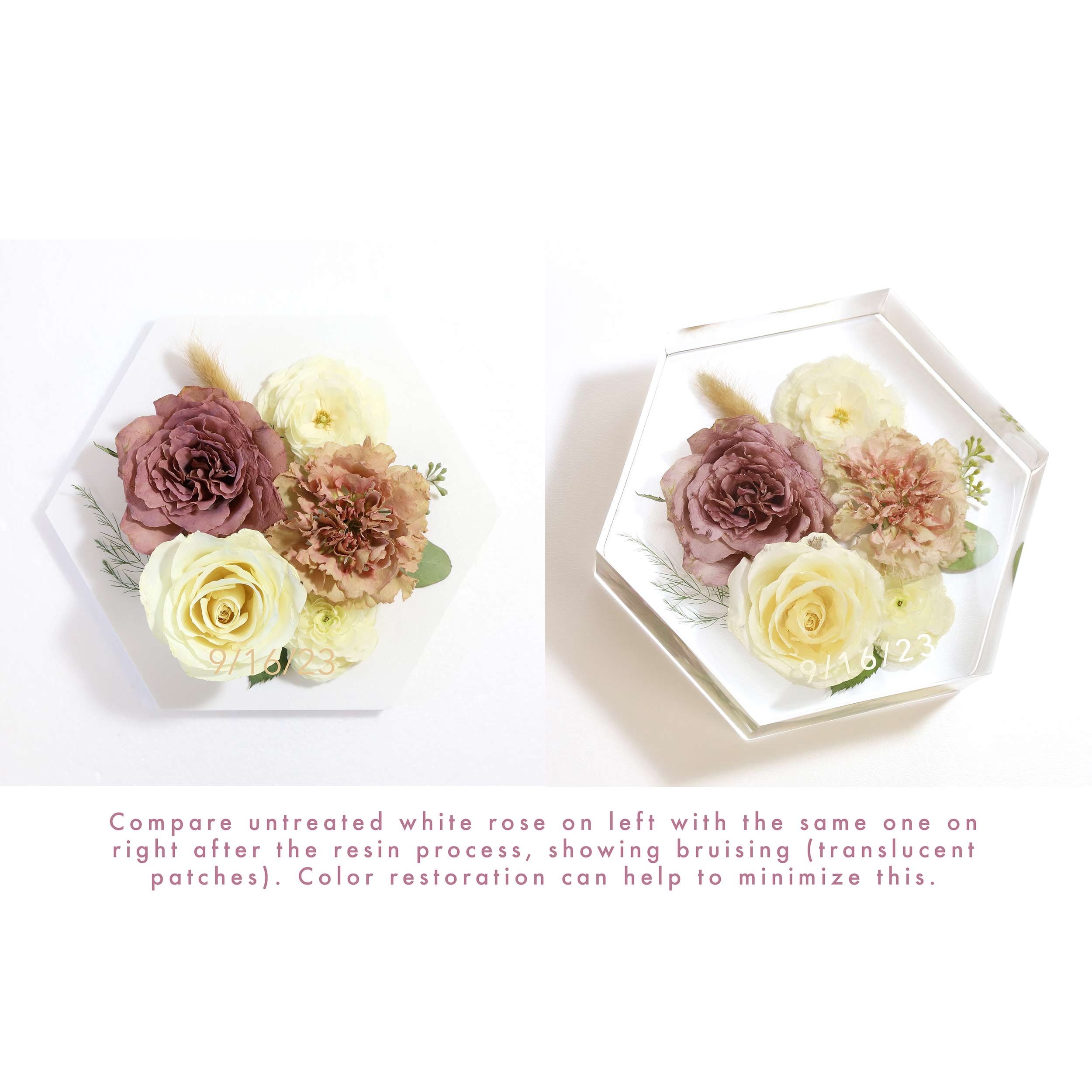 Side-by-side comparison of a naturally dried white rose vs a painted color corrected white rose preserved in a clear resin hexagon block