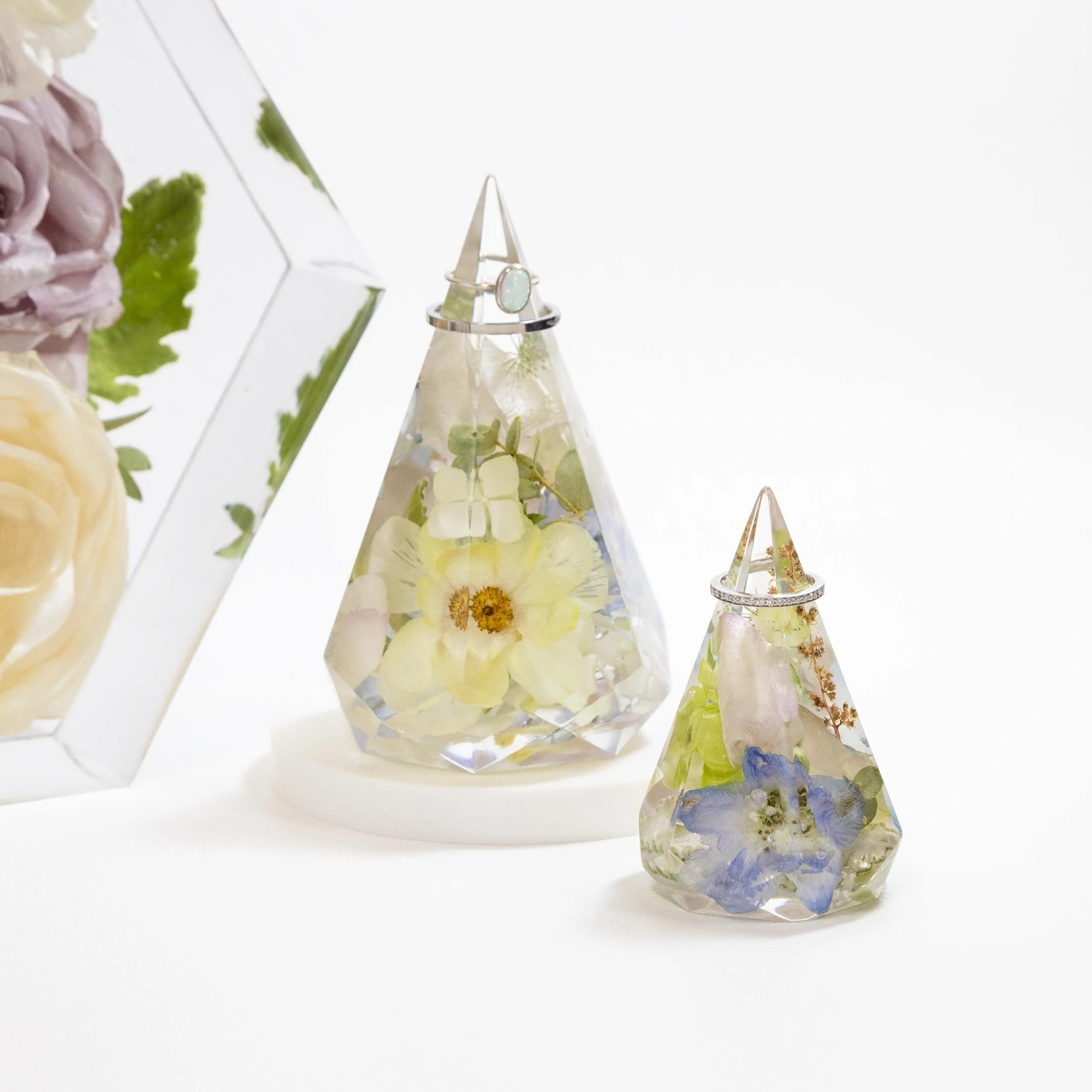 Ring Holders