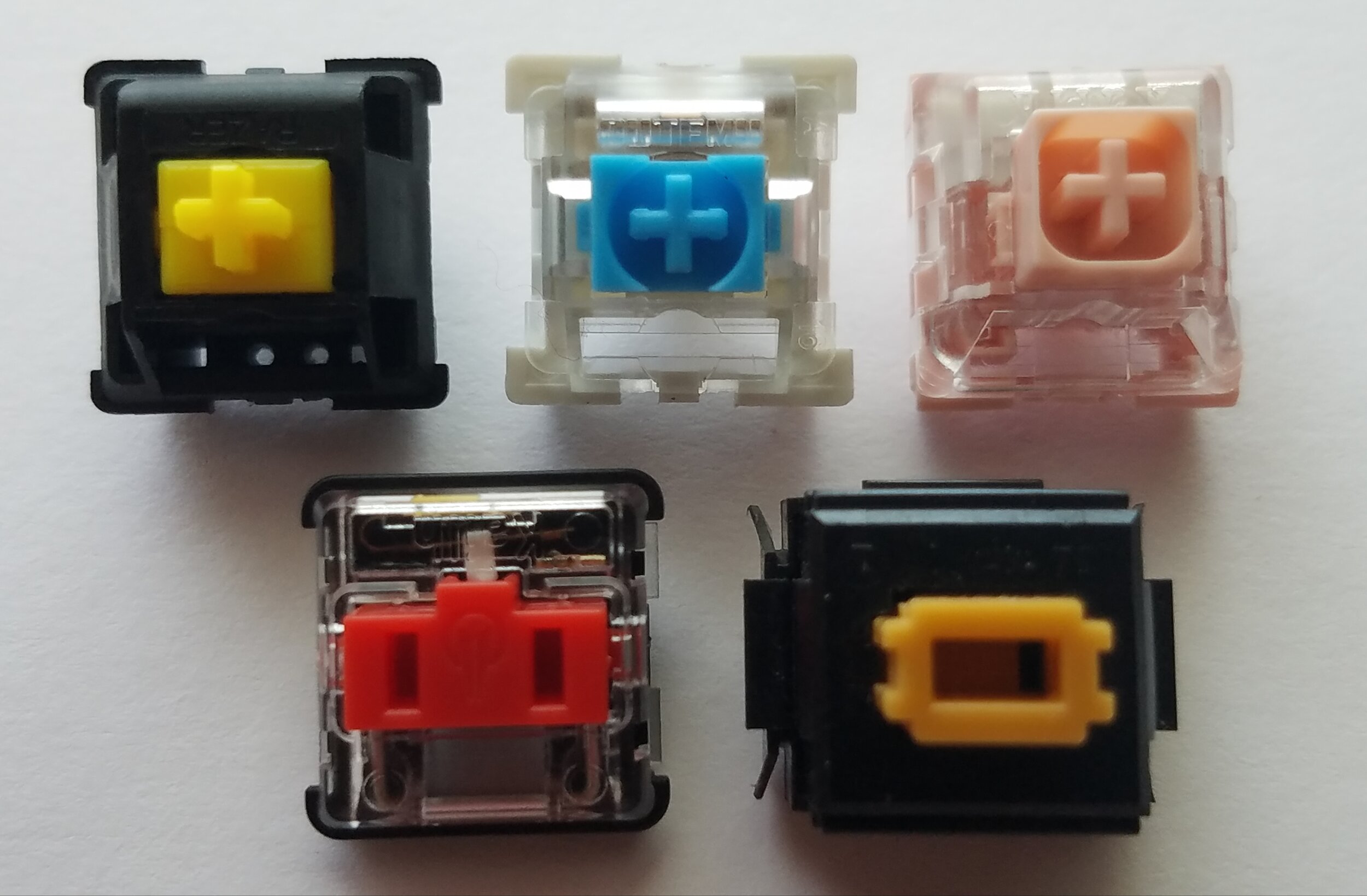 A Beginner's Guide to Switches