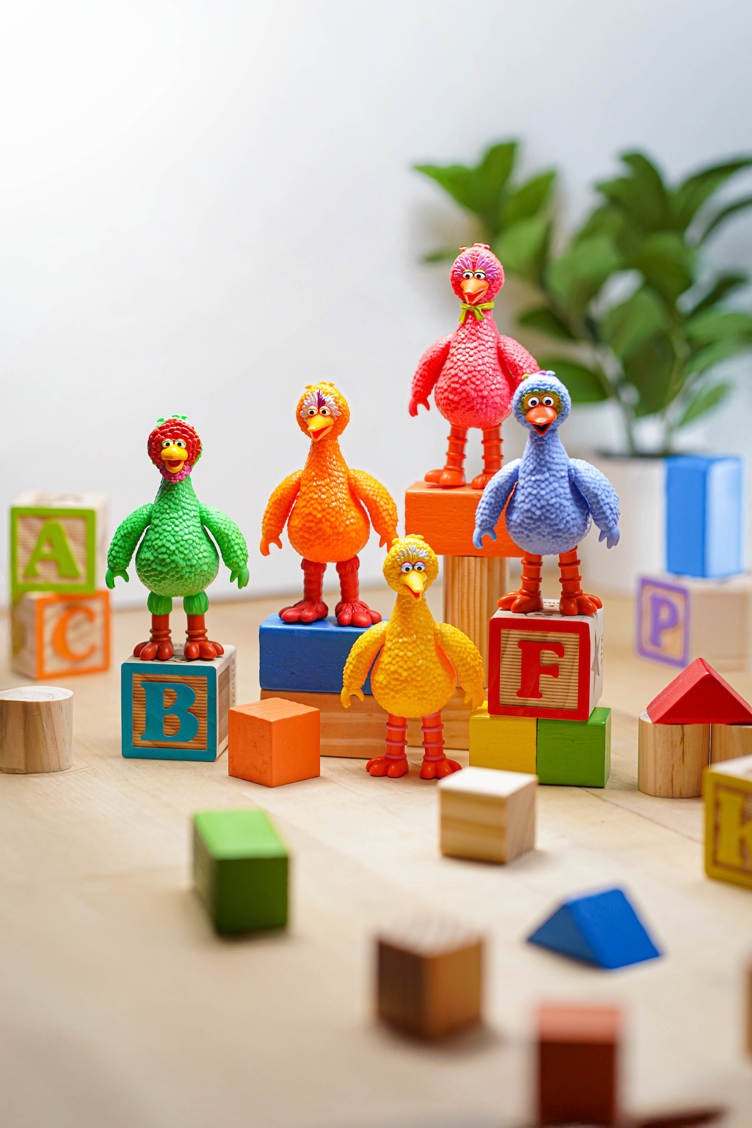 Big Bird Group.jpg