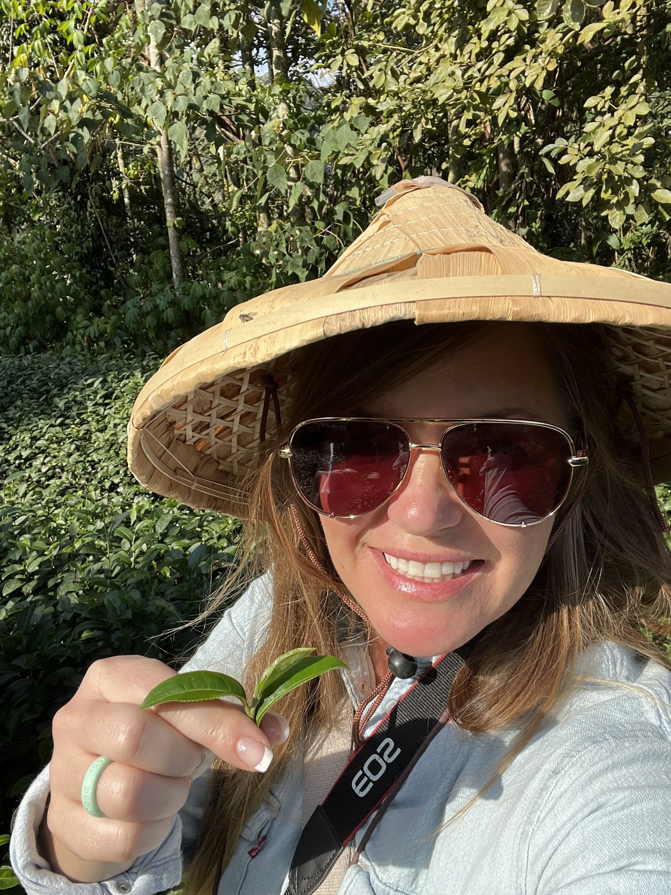 How premium beverage culture is evolving and why tea is positioned to become one of the most important drinks of the next decade.