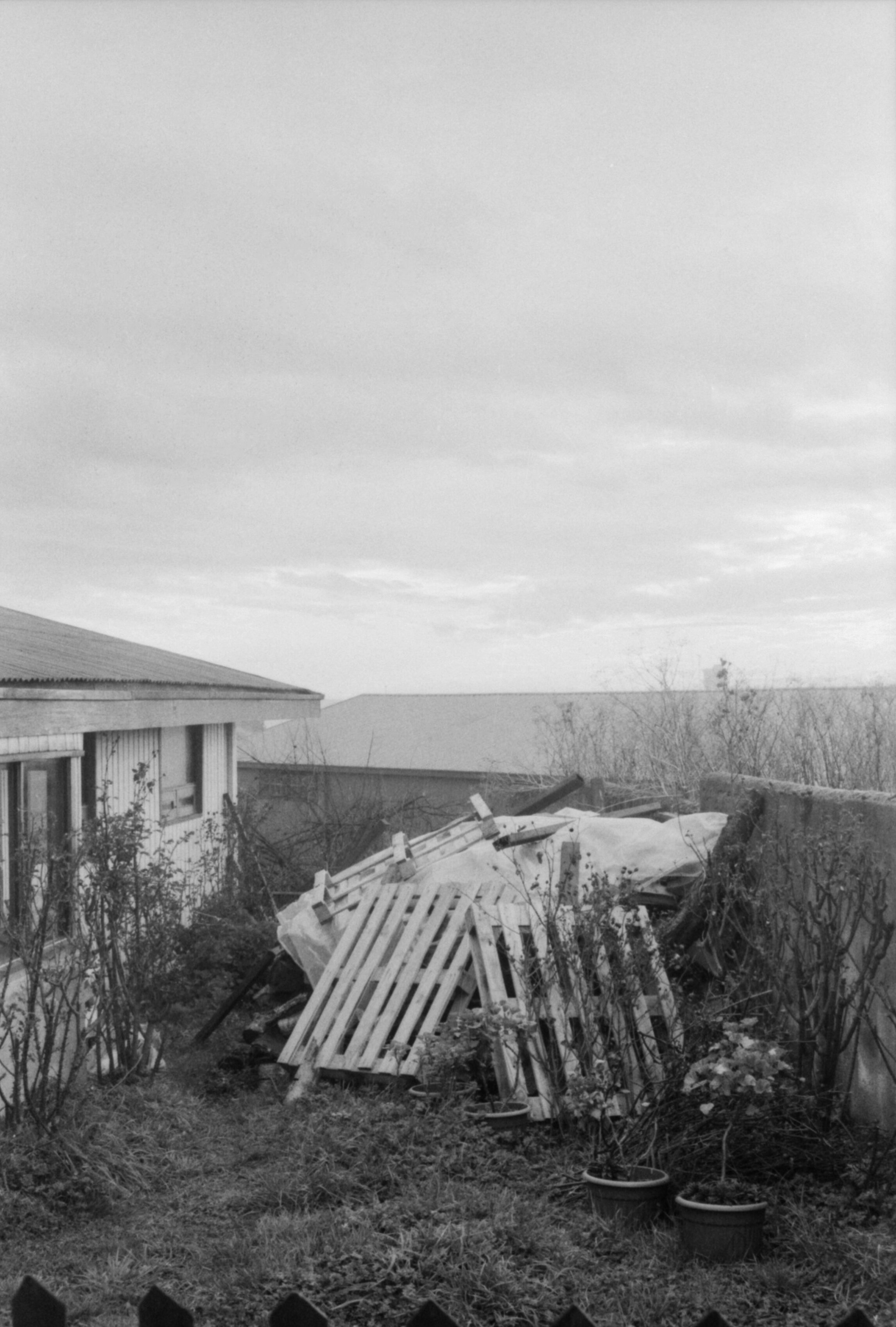 img004.jpg