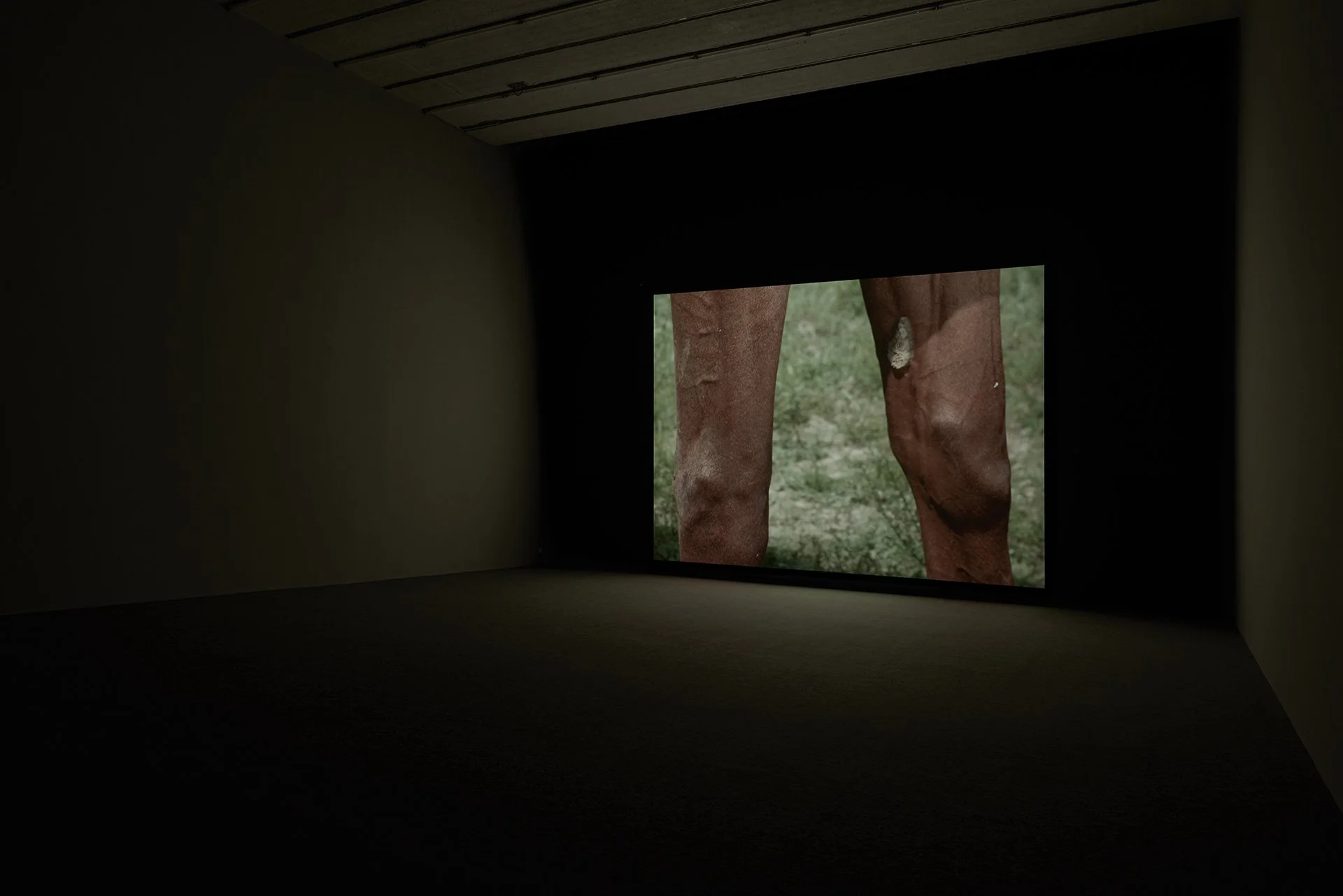 2015-thief-2015-beijing-installation-view-01-16-web.jpg