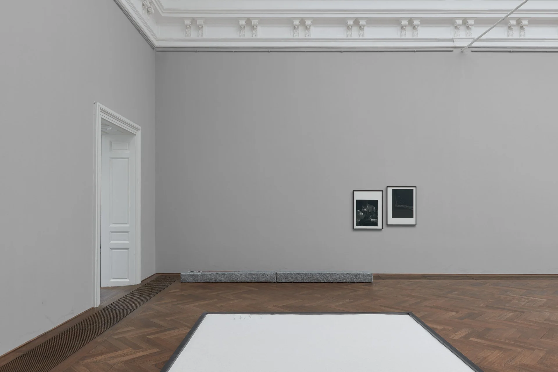 2017_Dangerous Afternoon_2017_Kunsthalle Basel_1_05-web.jpeg