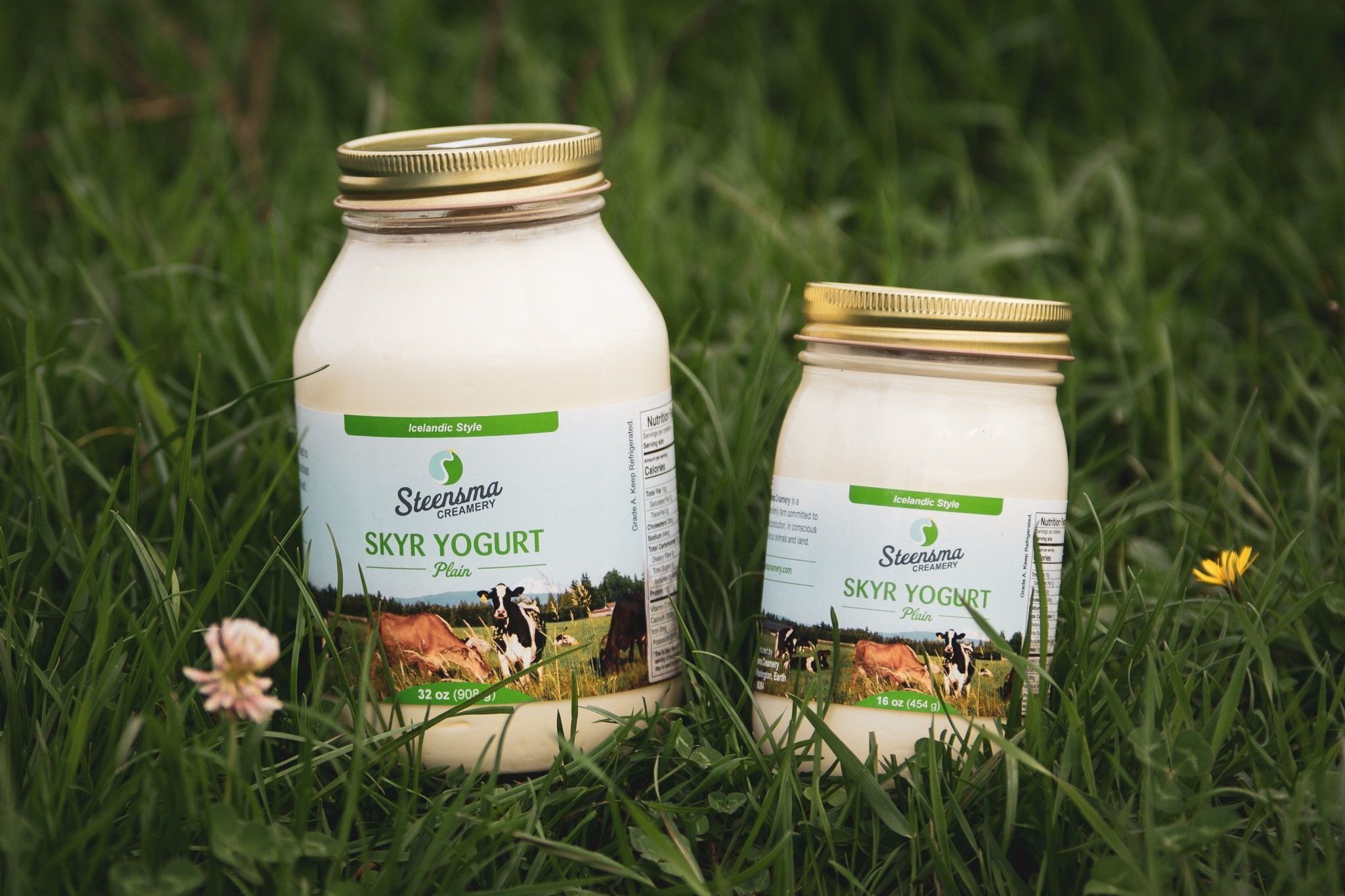 SteensmaDairy-547.jpg