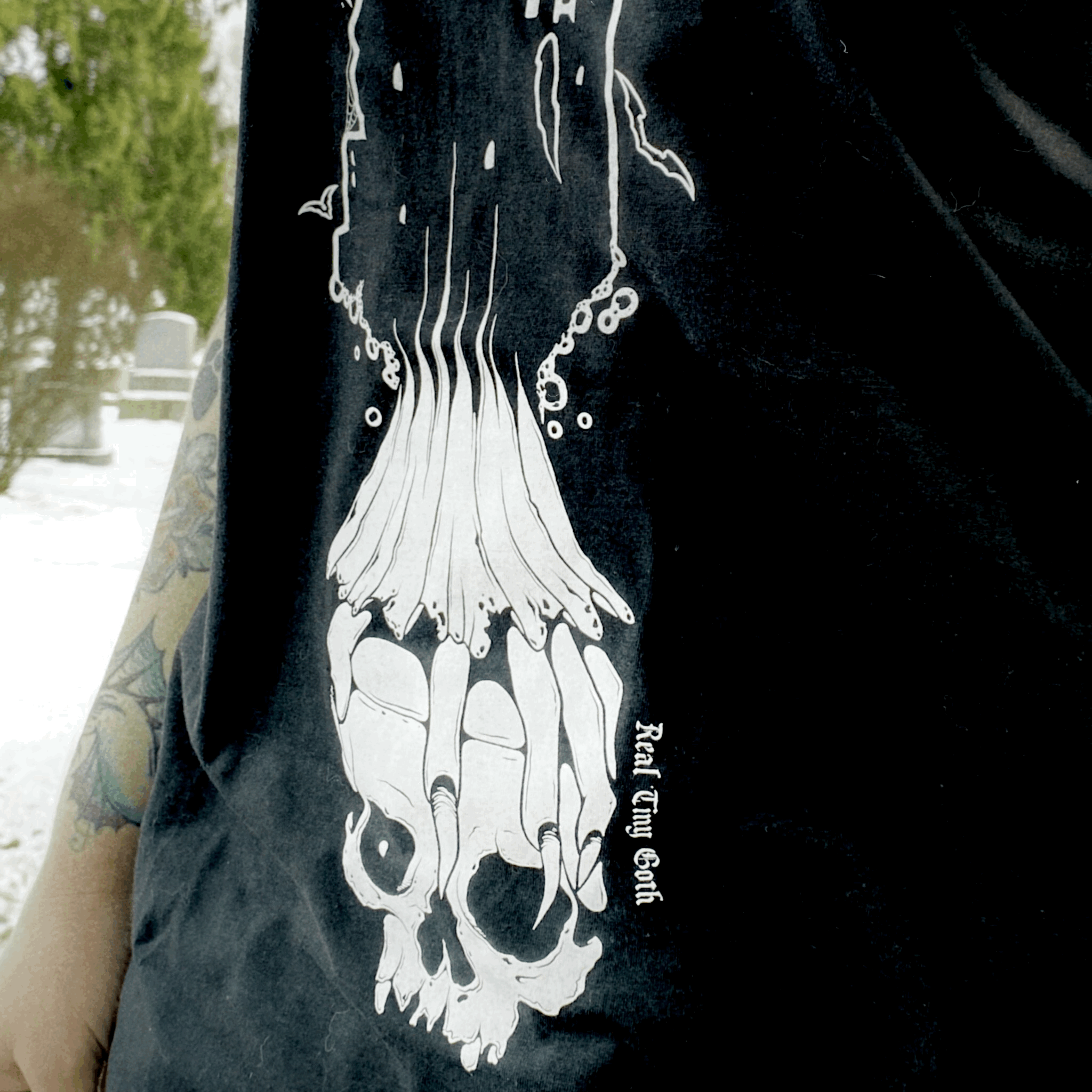 tempImage14P03y.gif