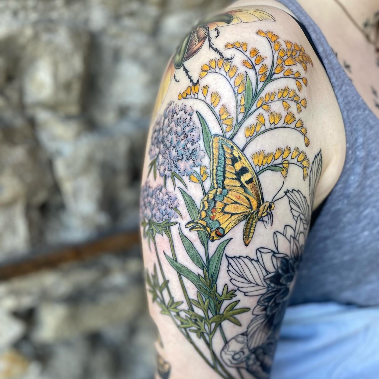 In progress ✨ always an honour to tattoo another tattooer, thanks to @hayvenbowman for asking me to take on finishing up your upper arm. More to come 🦋 🌸 go follow Hayven she is sick at tats

Made @springfevertattoo #tattoo #botanicaltattoo #floraa