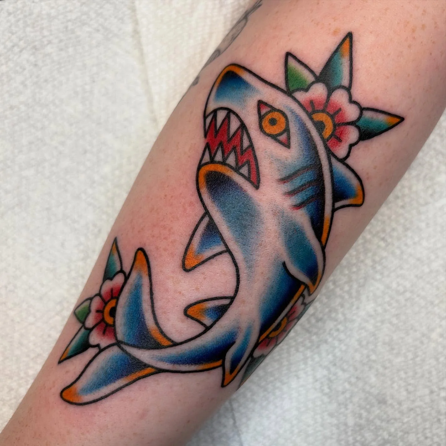 DAMN BRO, I MISSED SHARK WEEK 😔
THANKS ALLIE!