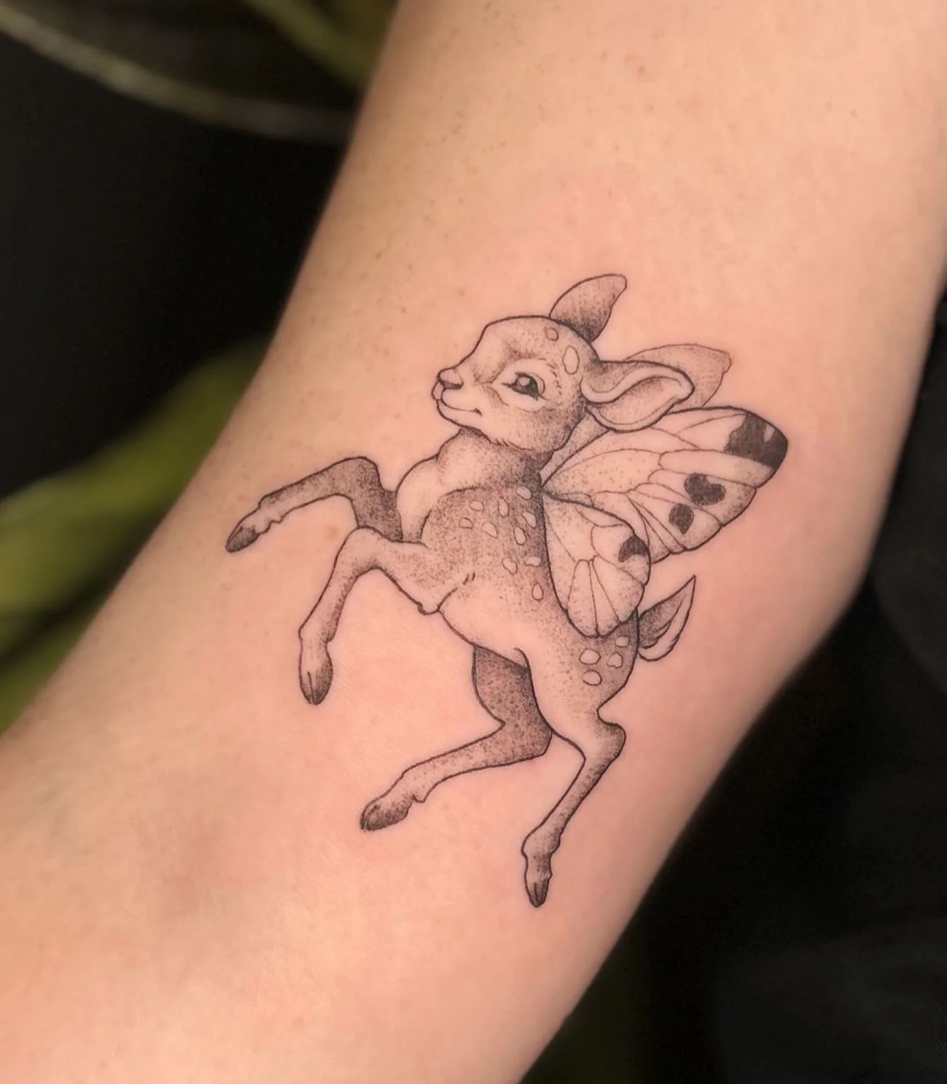 Little, spring baby today for Skye!