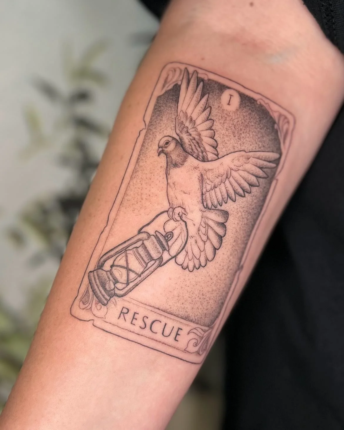 An afternoon spent with Lisa talking about music and astrology is a good one in my books. I feel lucky to have gotten to tattoo this very special Silverstein inspired tarot card for you. Lisa&rsquo;s the kind of client who always has a tarot deck in 