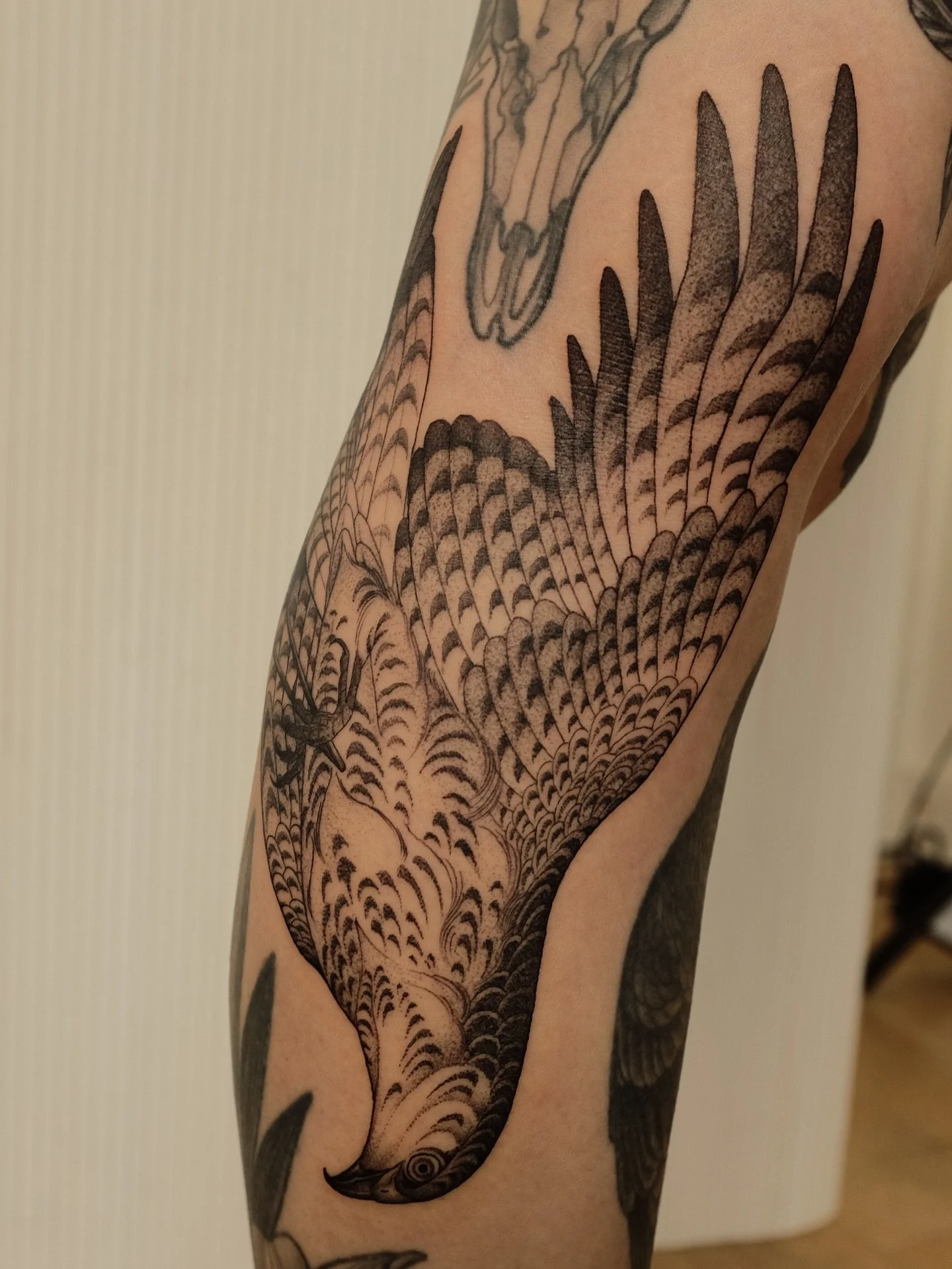 Birds 🤝 gaps
Loved making this for Jess (who has a stellar collection of tattoos). Nothing quite like filling those pesky spots. Drawn to fit always 🌼🌼🌼
Made at @fancybirdto