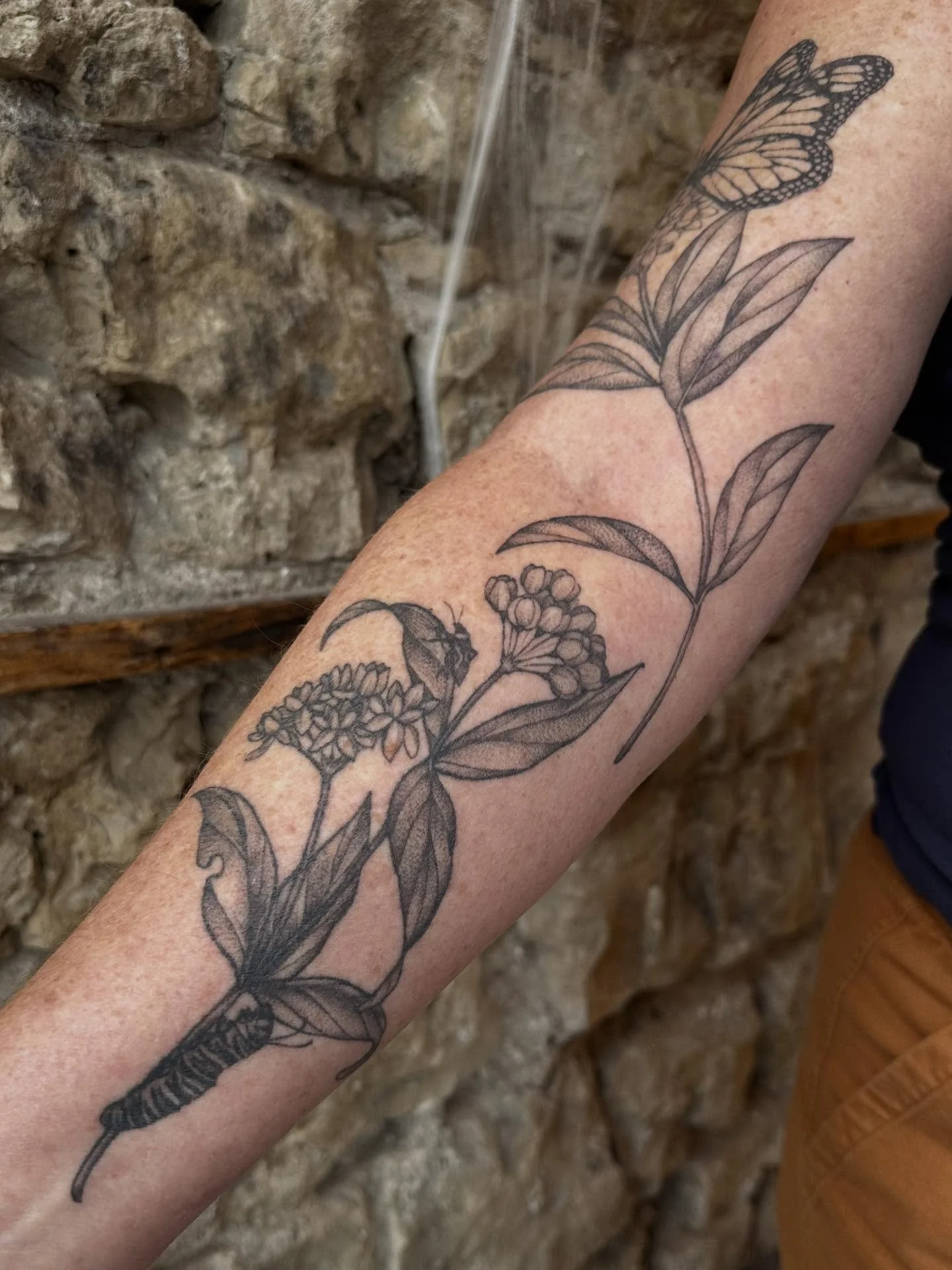 And so it goes. Life cycle of the milkweed plant, thank you Lisa! Upper arm is fresh, everything else is healed up. Made with love @springfevertattoo 

#tattoo #finelinetattoo #blackandgreytattoo #botanicaltattoo #naturetattoo #sleeve #birdtattoo #gu