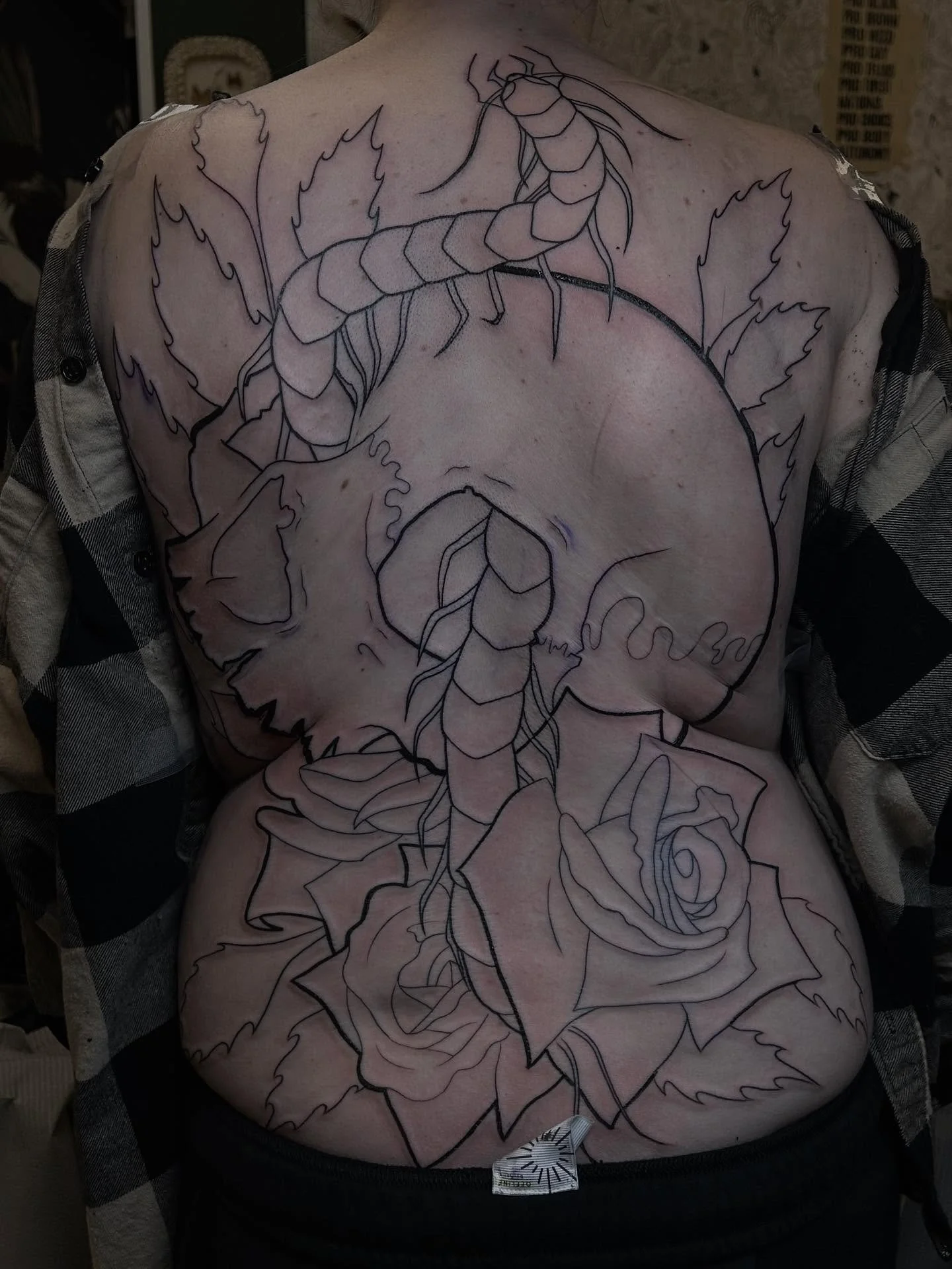 Beautiful start to Hope&rsquo;s back piece, picked from my flash 🖤🖤🖤 made at @springfevertattoo