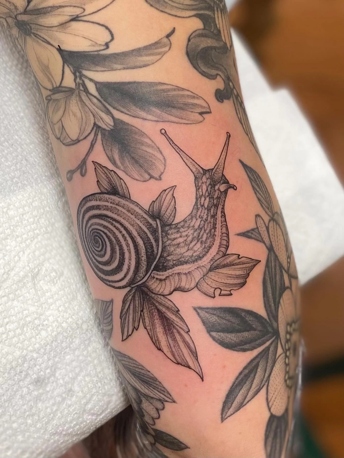 Snail for @alishatax !! One that was lost deep in the camera roll haha. 

Made @springfevertattoo #tattoo #snailtattoo #crittertattoo #blackandgreytattoo #springfevertattoo #guelphtattoo #downtownguelph #guelphtattooartist