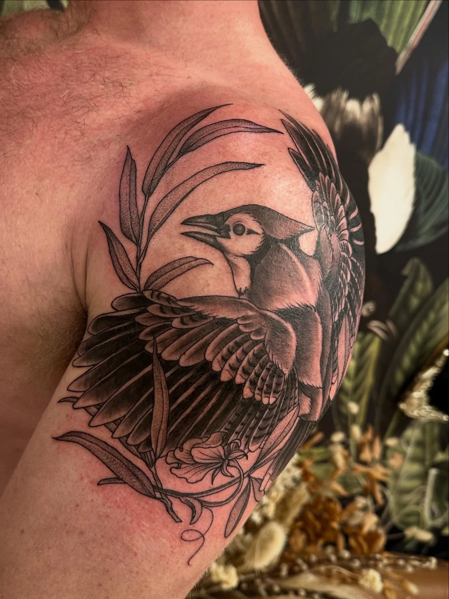 Blue Jay and friends, made with love @springfevertattoo 

#tattoo #birdtattoo #naturetattoo #springfevertattoo #blackandgreytattoo #guelphtattoo #downtownguelph #botanicaltattoo #shouldertattoo