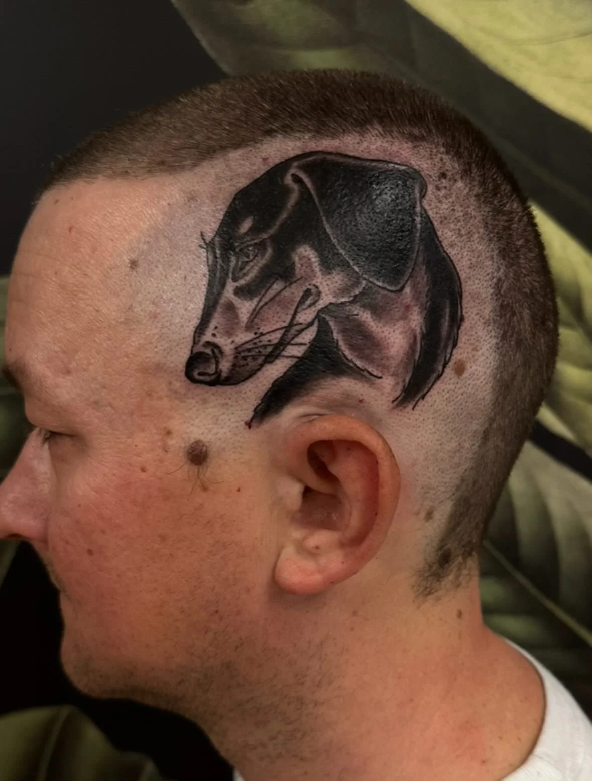 Gave my pal @worldisacig a new hairdo today&hellip; how did i do? Should I become a barber?  Made @springfevertattoo 

#tattoo #springfevertattoo #headtattoo #dogtattoo #cattattoo #blackandgreytattoo #guelph #downtownguelph #guelphtattooer