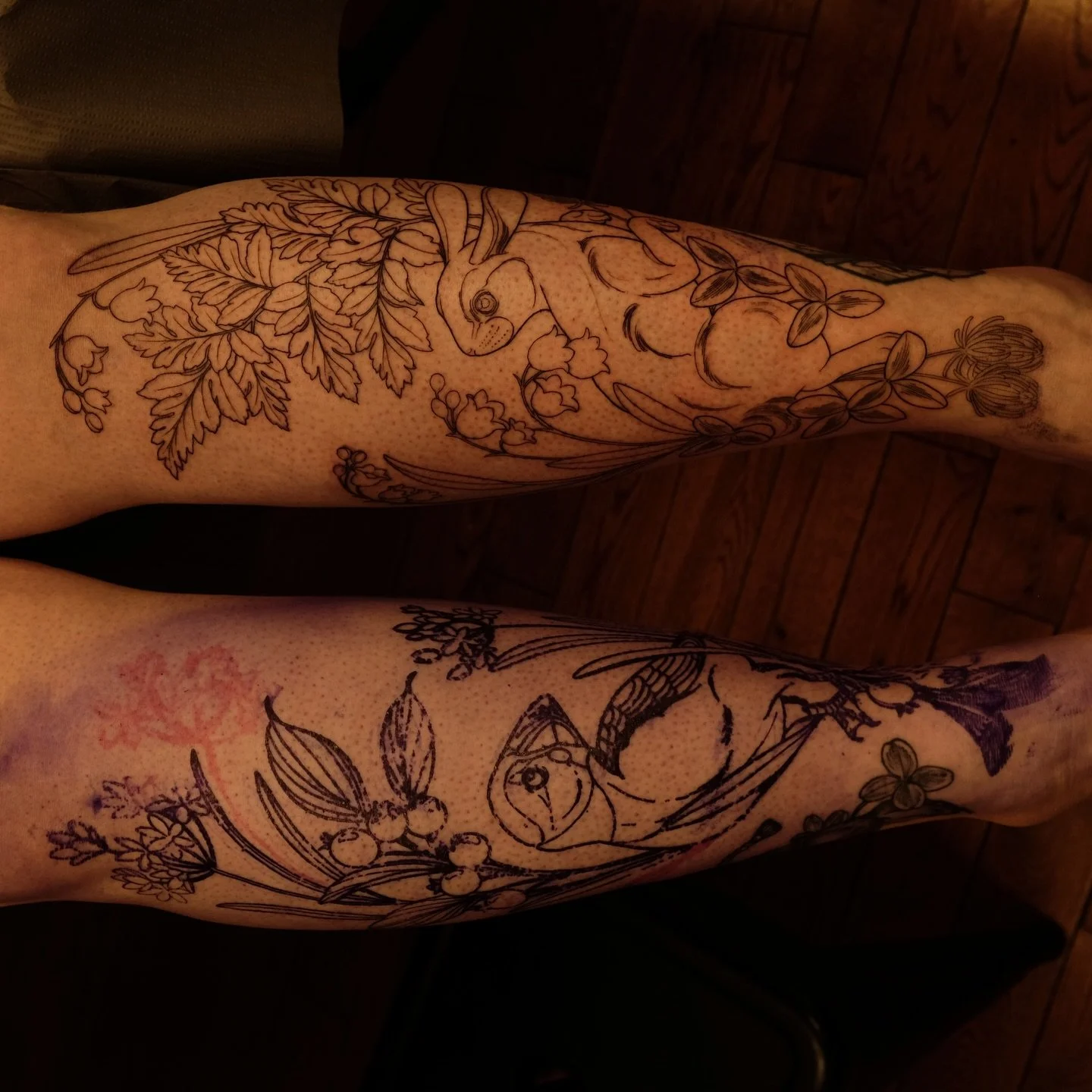 Stencil to linework.
Thank you Brittany! Looking forward to shading these cuties in!