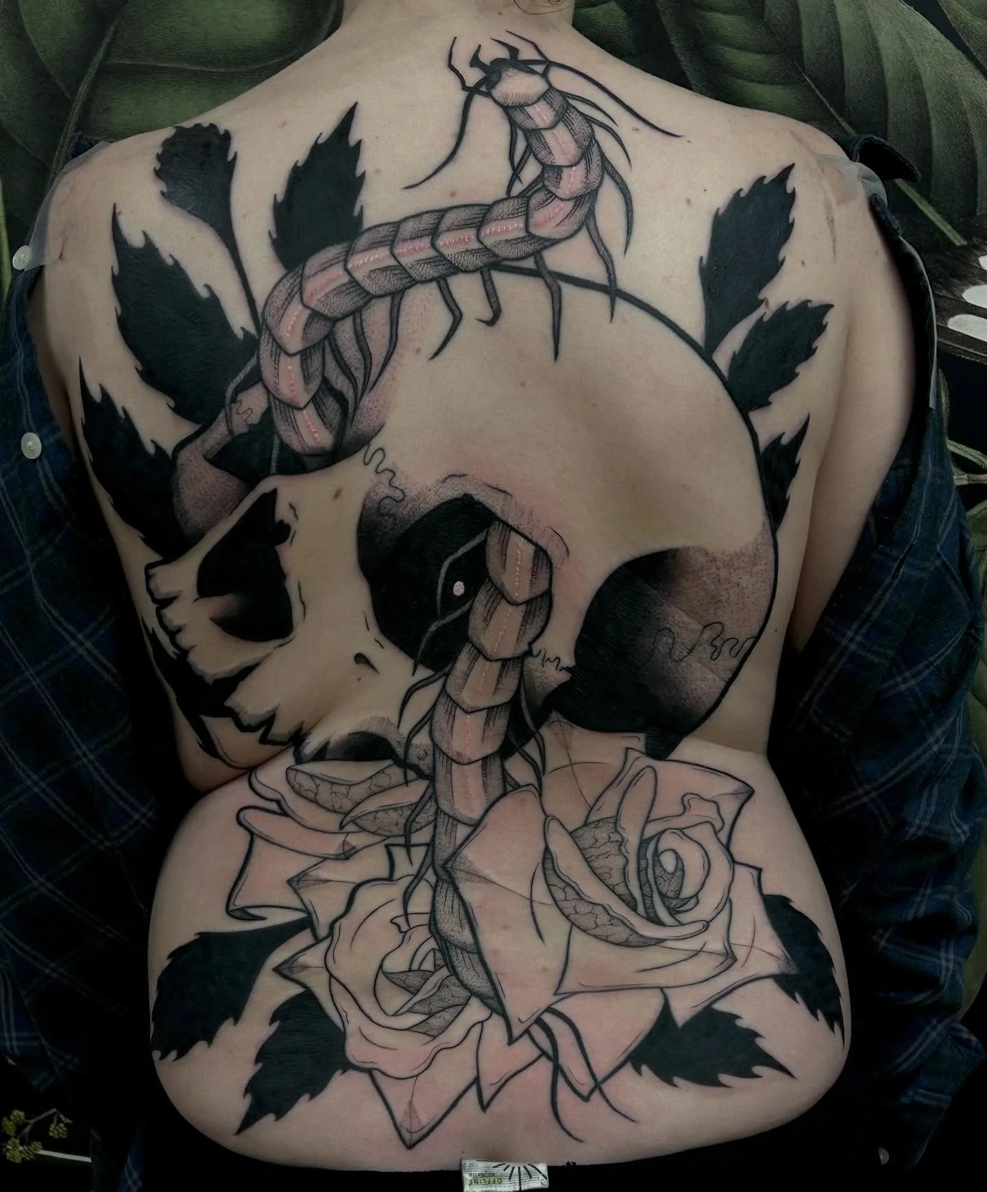 Finished Hope&rsquo;s back !!! So so so honoured to have such a large flash piece claimed 🖤 made at @springfevertattoo