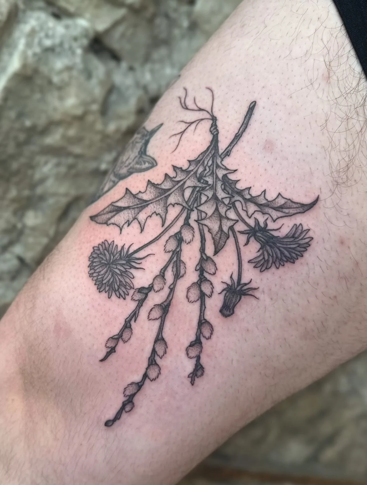 First tattoo of 2026 and a healed kitty from mid 2025! Made @springfevertattoo