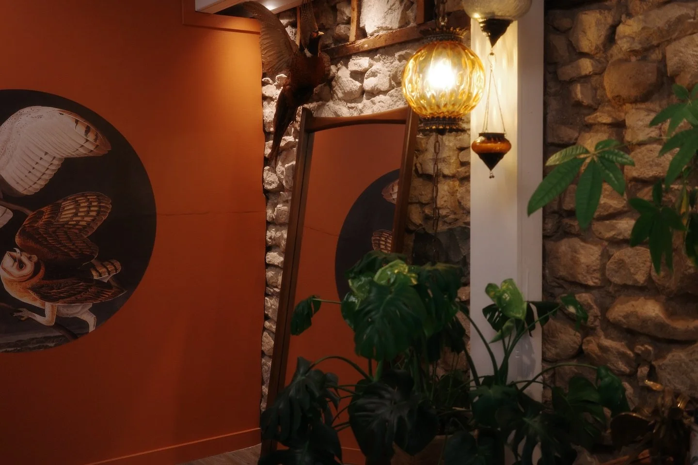 Snippets of my fav place 🌼