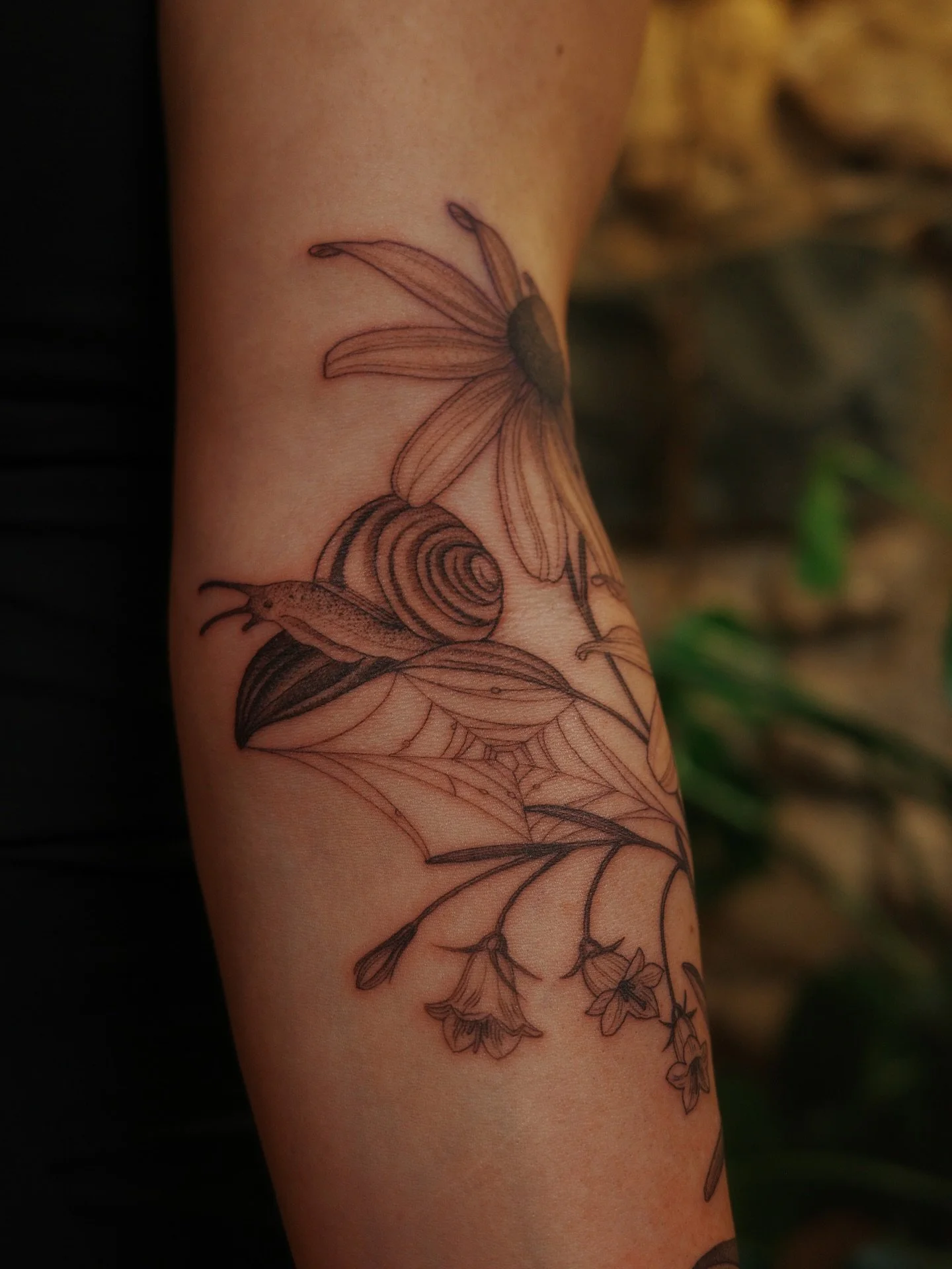 Spent the day chatting and checking the snow day predictor website (and making this). It was lovely.
Thank you Erin, enjoy your snow day ☃️
Carolina wren, rudbeckia, harebells, and a snail named Spicy.