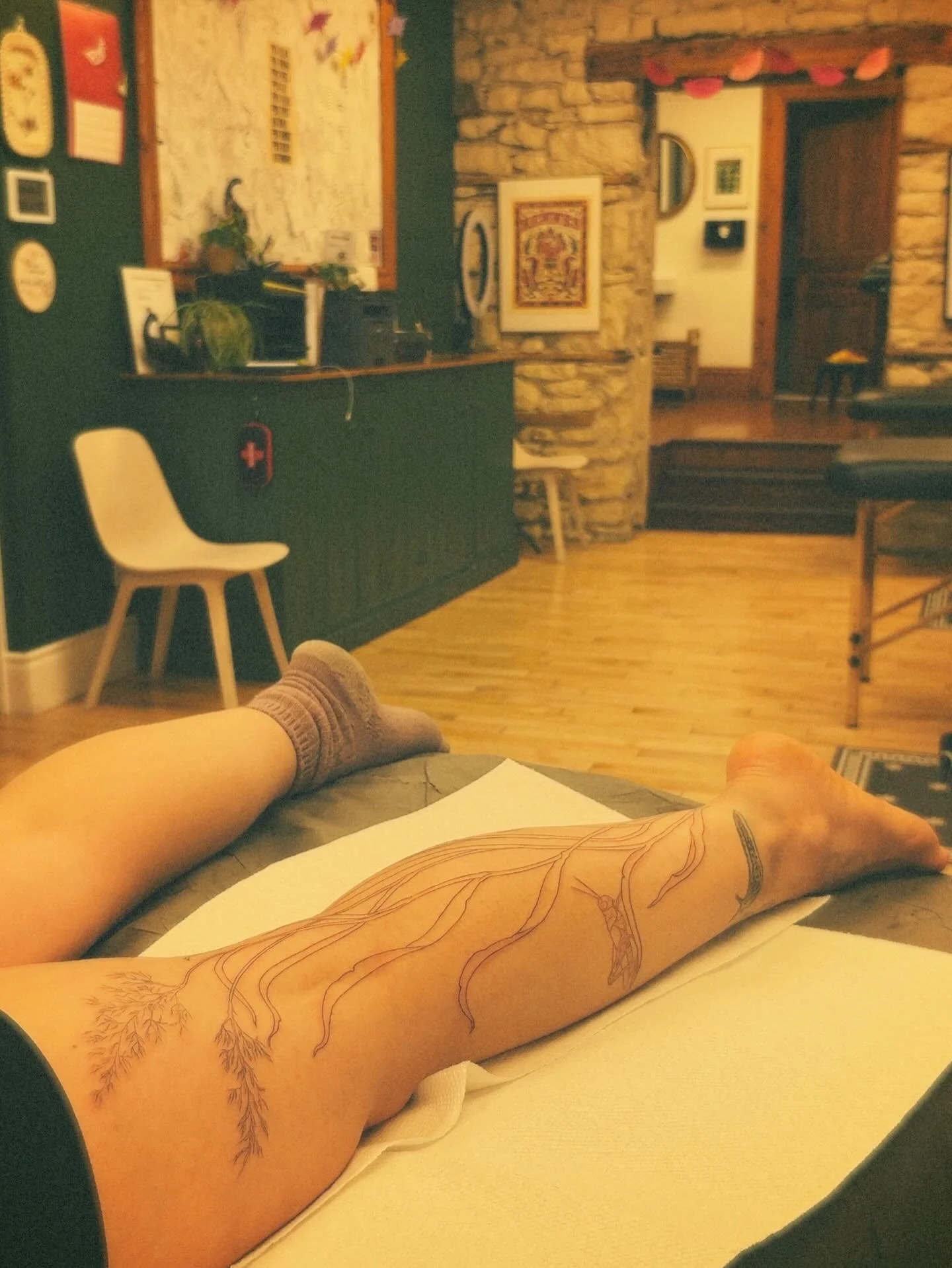 Twas a very snowy one yesterday but Victoria and I had a real nice start on this one. We stencilled on a red legged grasshopper and a pill bug, then drew the rest to fit! Also pro tip, listening to Colter Wall radio on a snowy day is the way to go&he