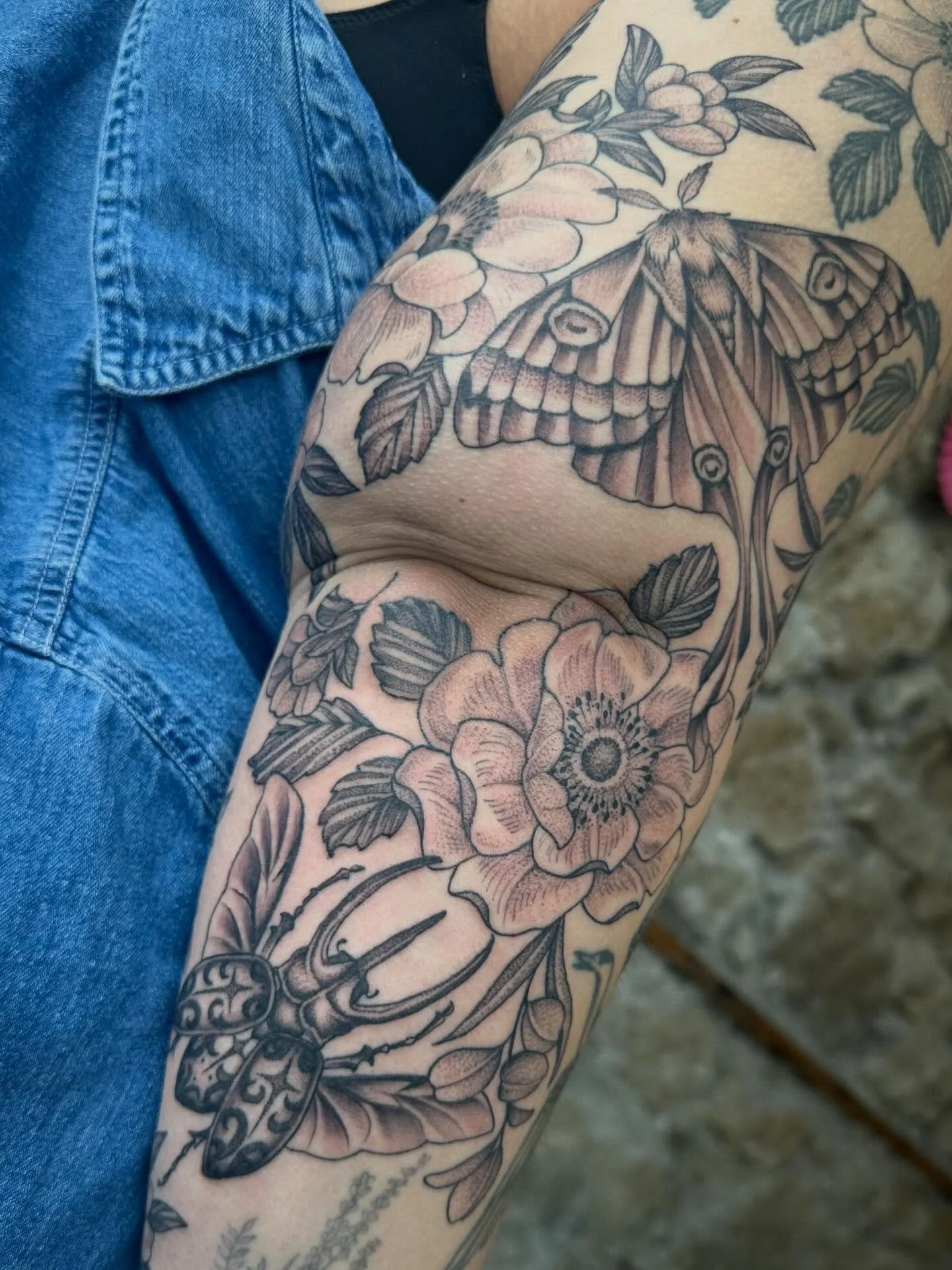 Floral and insects, finished today! Florals and bird on the upper arm are healed and settled a few years now 

Made with love @springfevertattoo #tattoo #floraltattoo #blackandgreytattoo #guelphtattoo #springfevertattoo