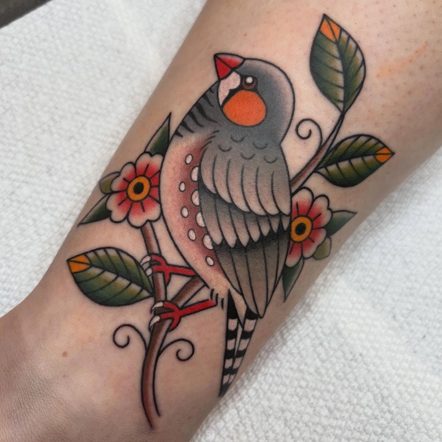 CAN YOU BELIEVE THAT A ZEBRA HAD SEX WITH A FINCH TO CREATE THIS BIRD? DAMN. NATURE IS BEAUTIFUL, MAN! 🥲
THANKS CAT!