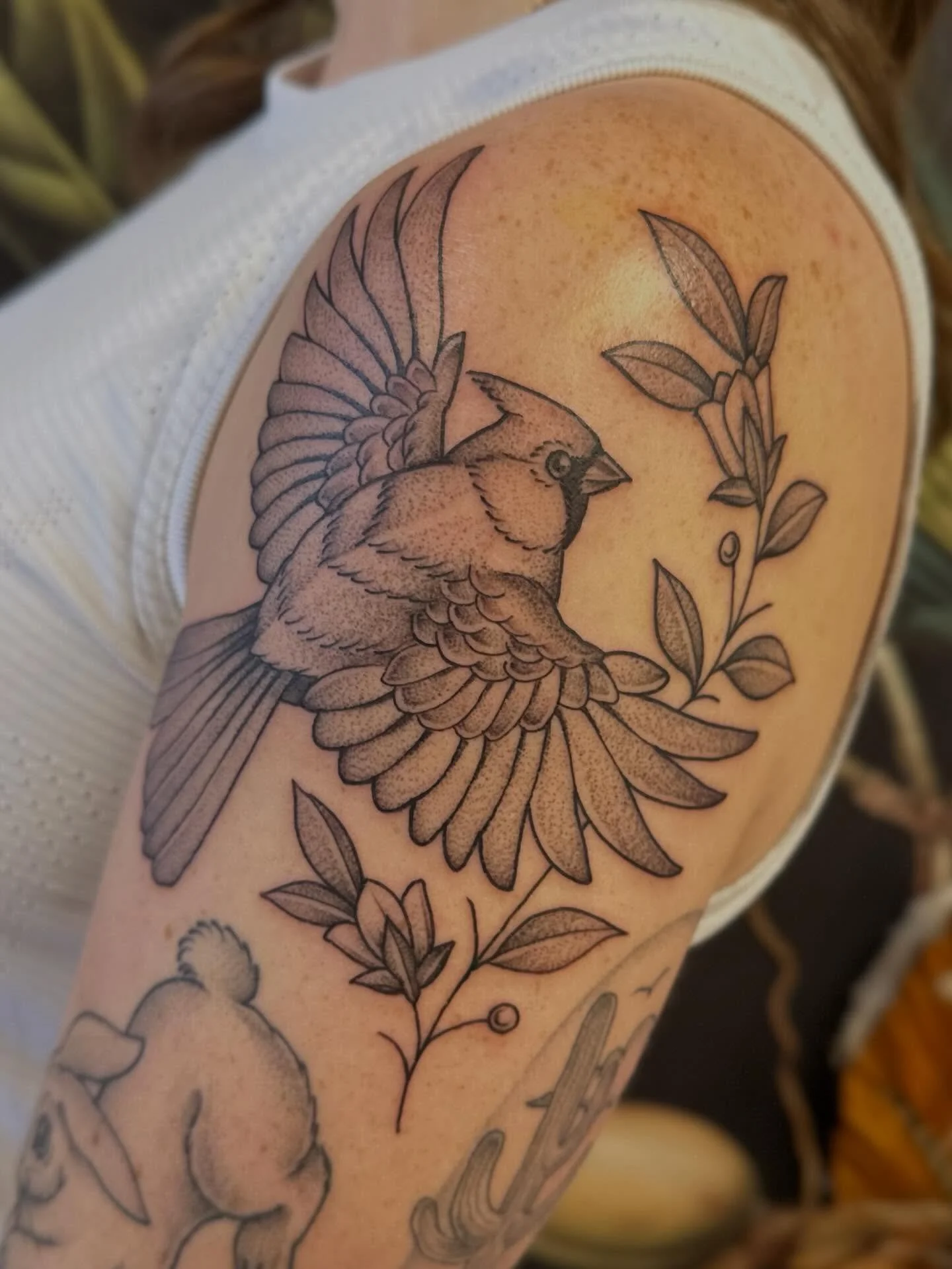 Fresh cardinal and two healed ones all on Courtney! Thanks for looking :) made @springfevertattoo