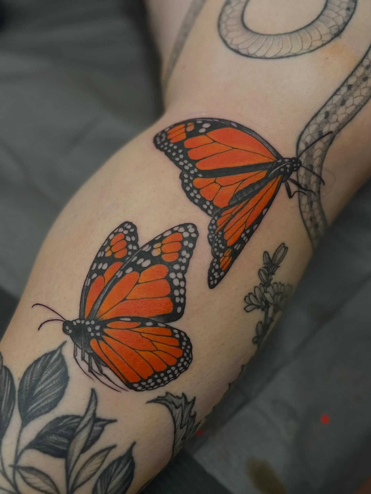 I ❤️ orange 

Made @springfevertattoo