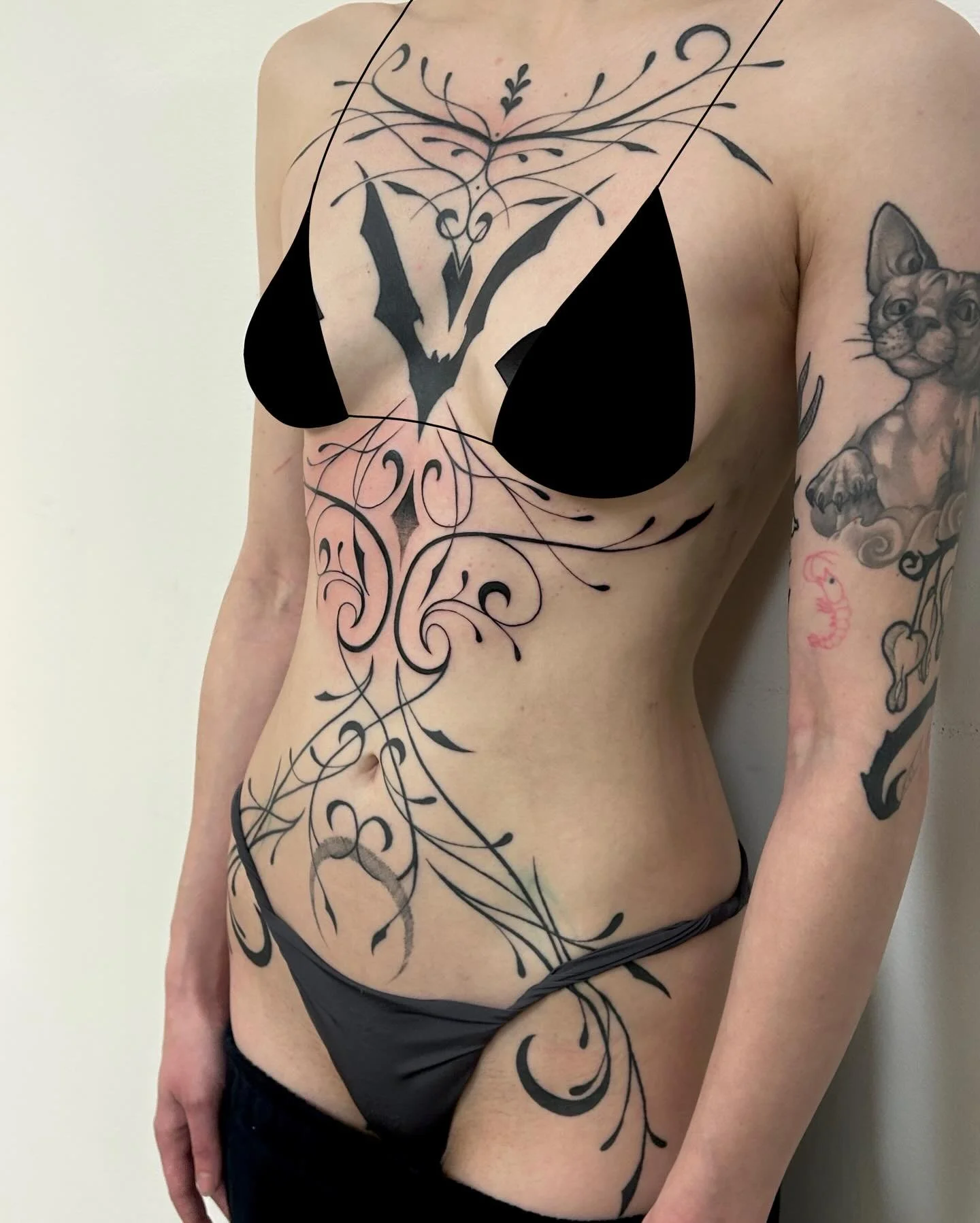 Partially healed, fully finished torso piece 🖤 made at @springfevertattoo